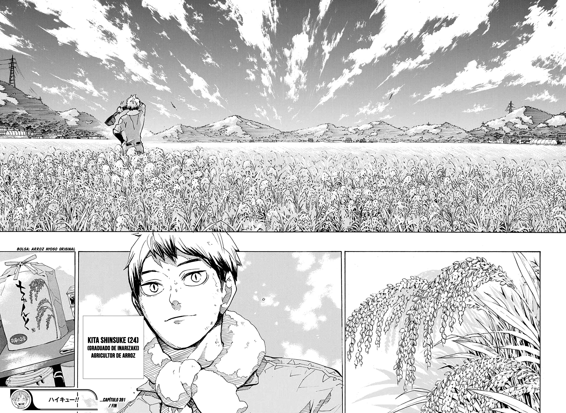 Read Haikyuu!! (ES) Manga Online