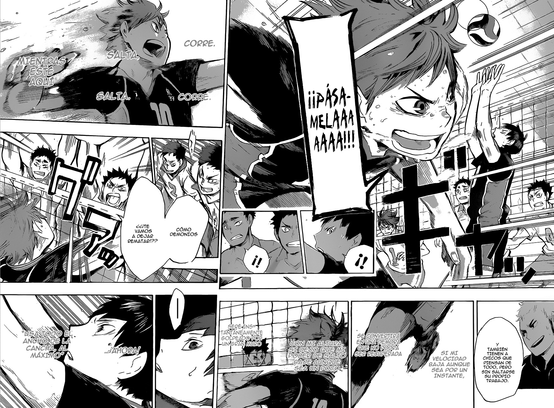 Read Haikyuu!! (ES) Manga Online