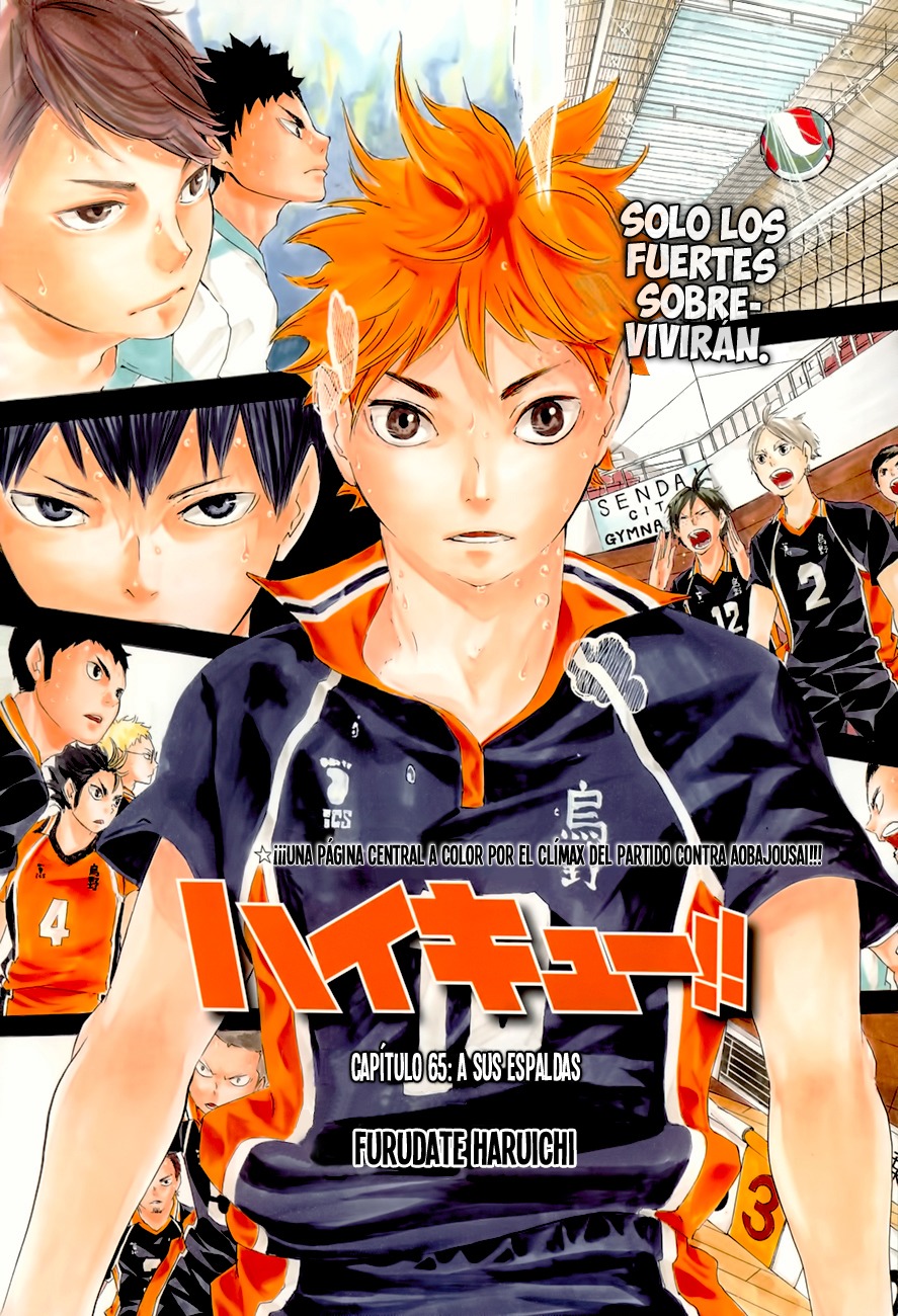 Read Haikyuu!! (ES) Manga Online
