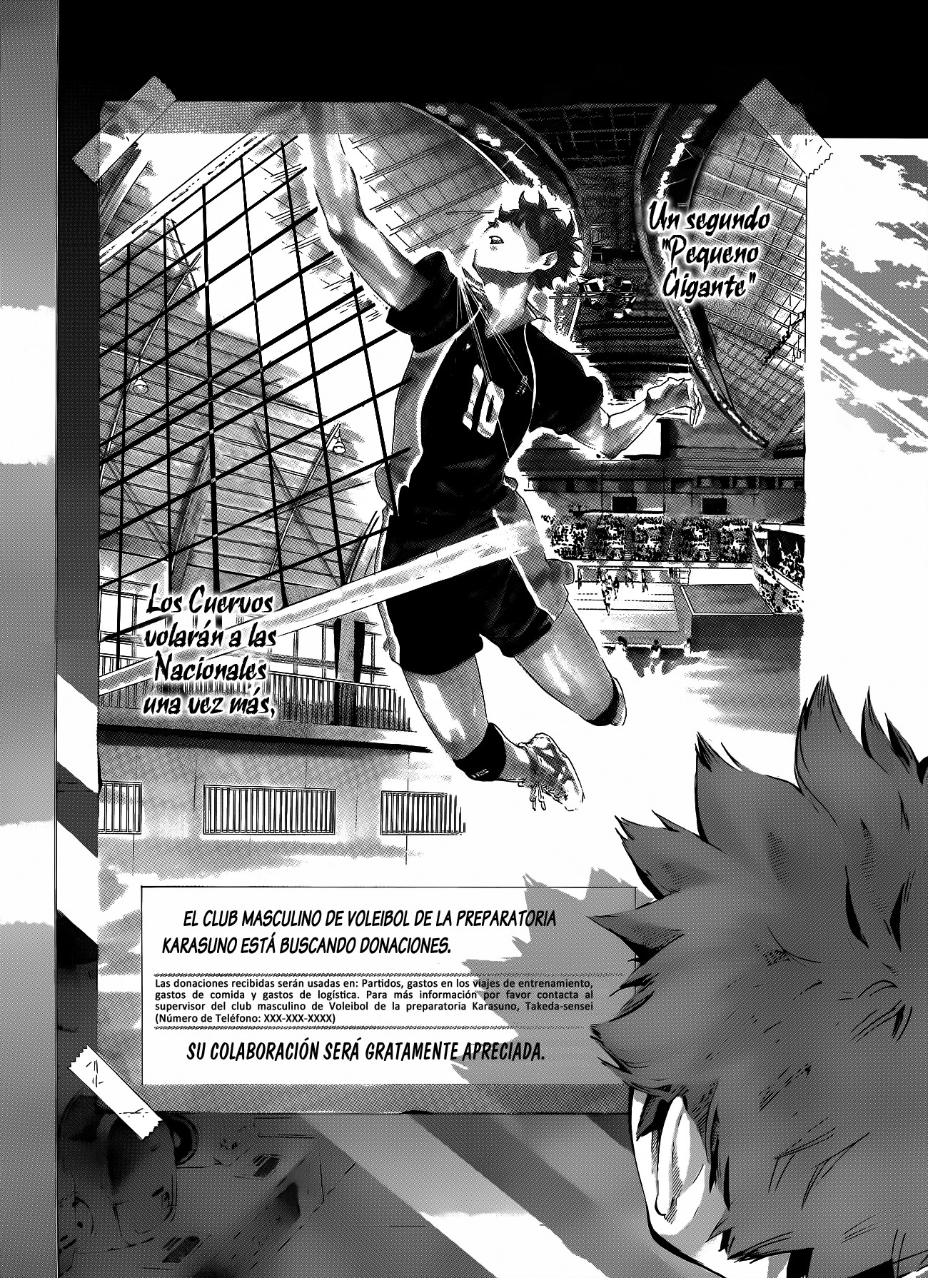 Read Haikyuu!! (ES) Manga Online