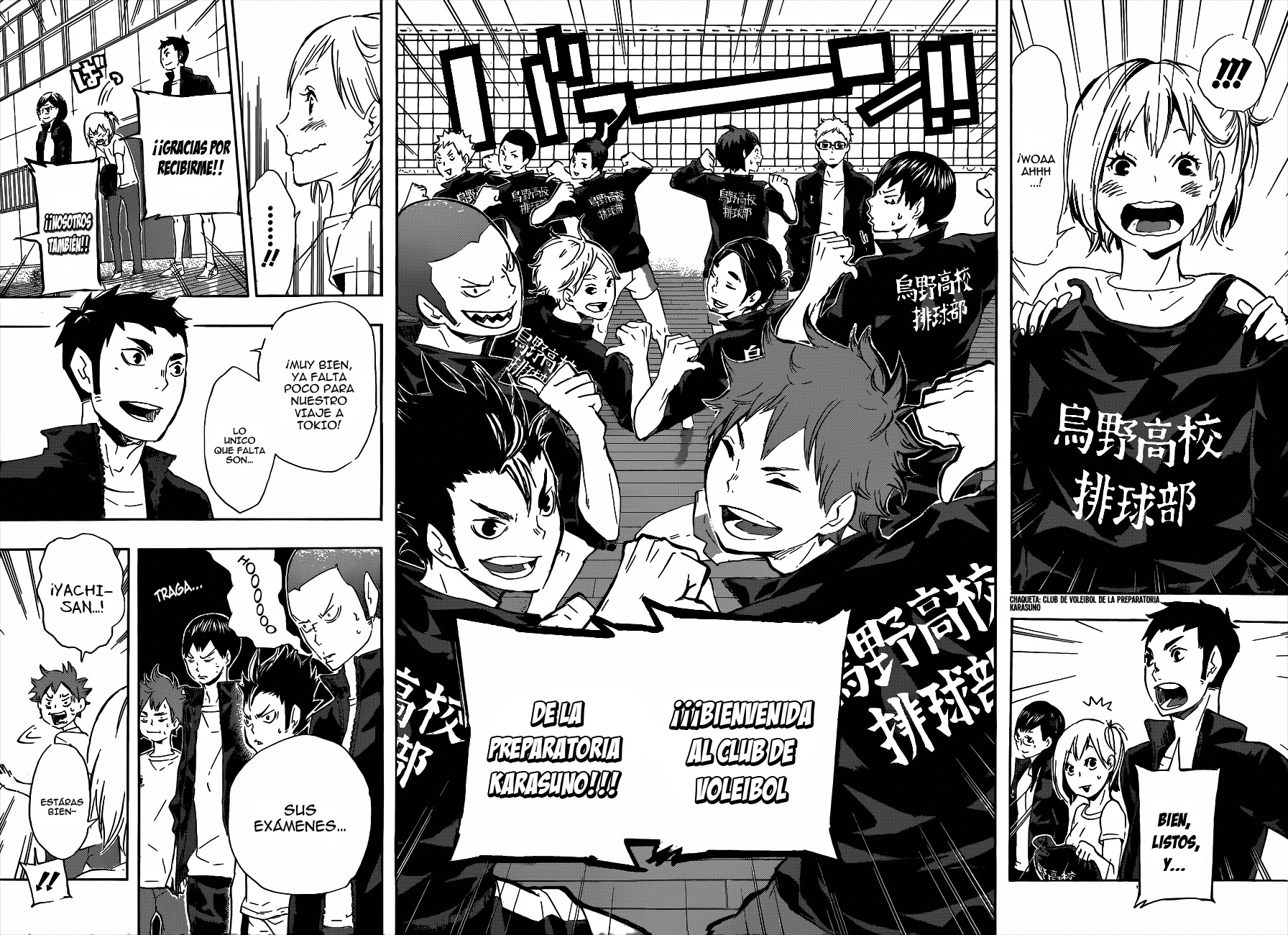 Read Haikyuu!! (ES) Manga Online