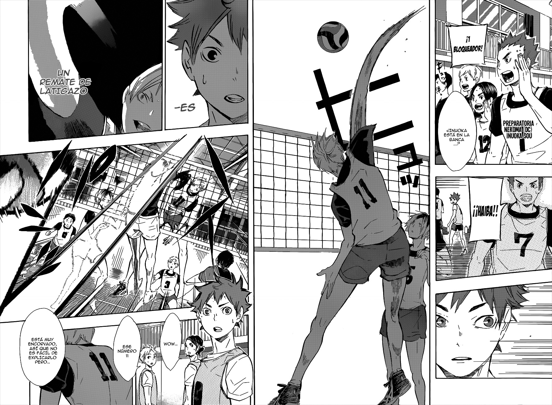 Read Haikyuu!! (ES) Manga Online