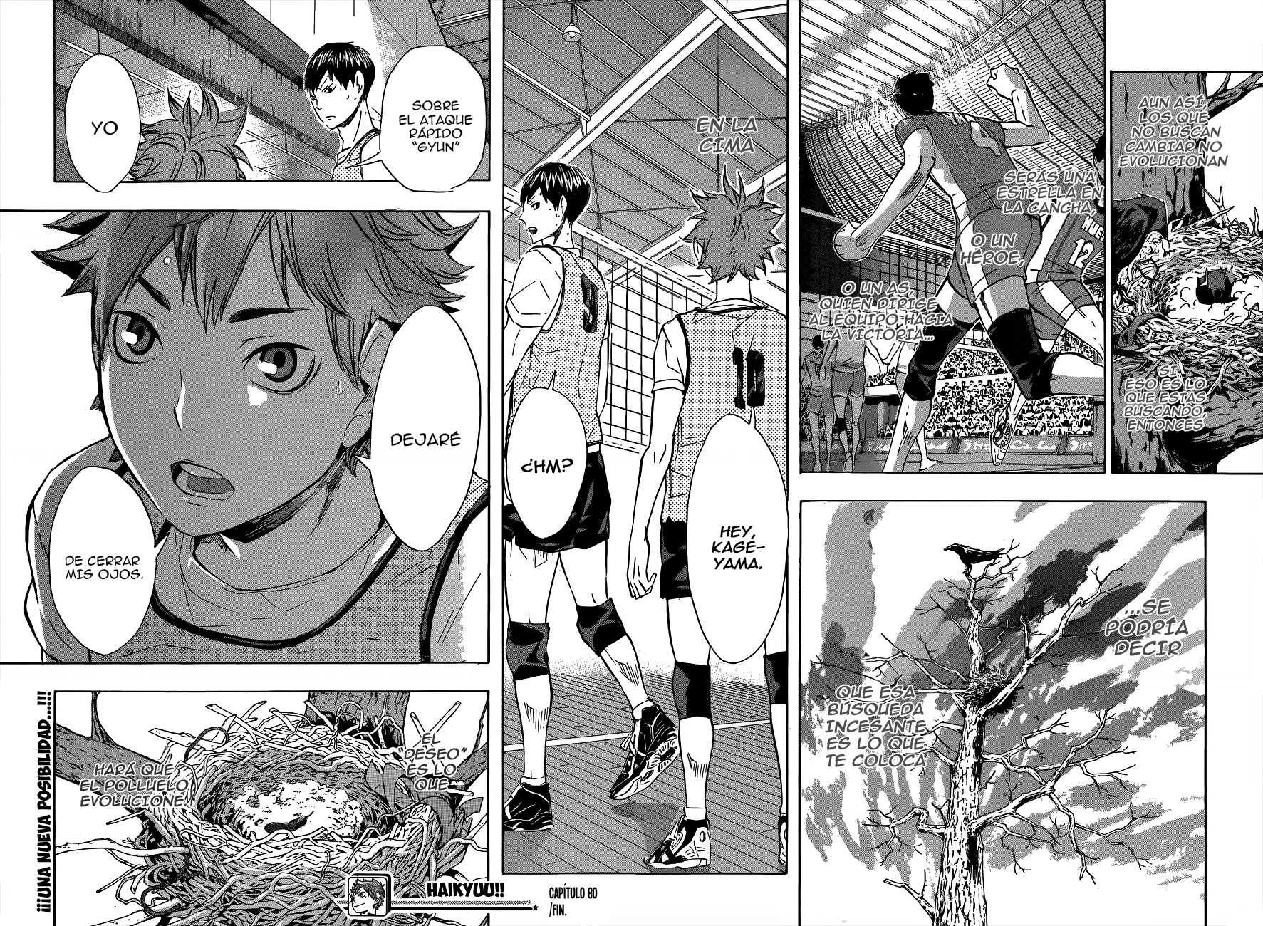 Read Haikyuu!! (ES) Manga Online