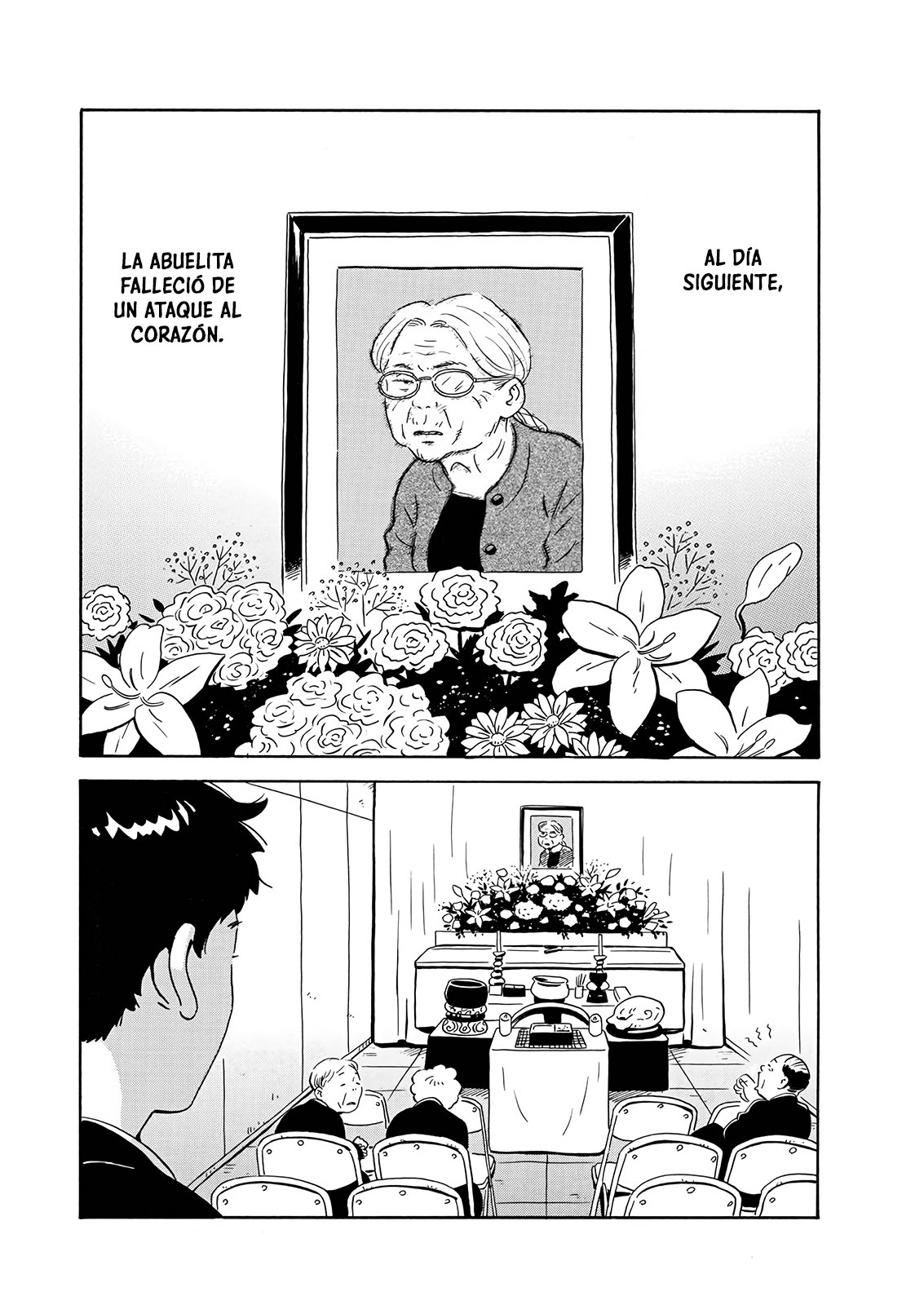 Read Hirayasumi (ES) Manga Online