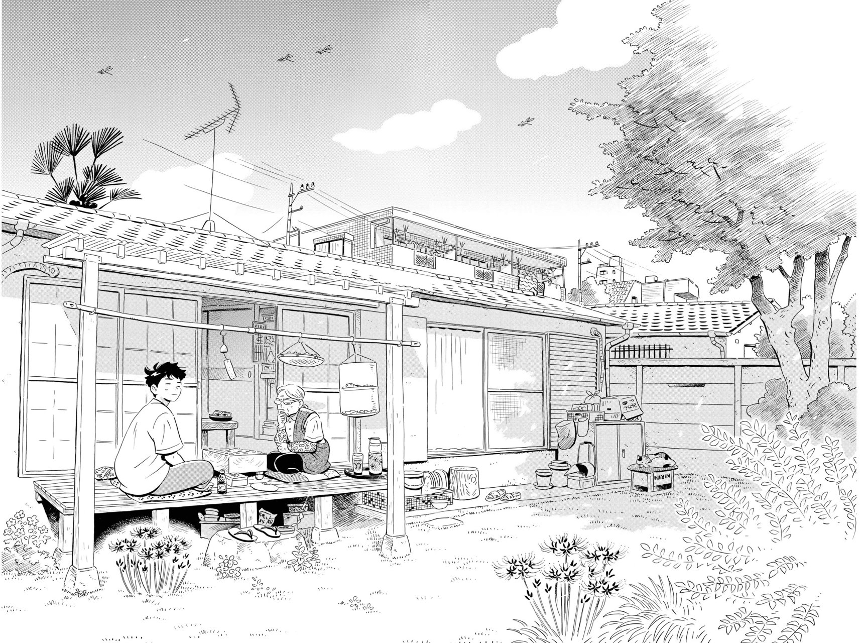 Read Hirayasumi (ES) Manga Online