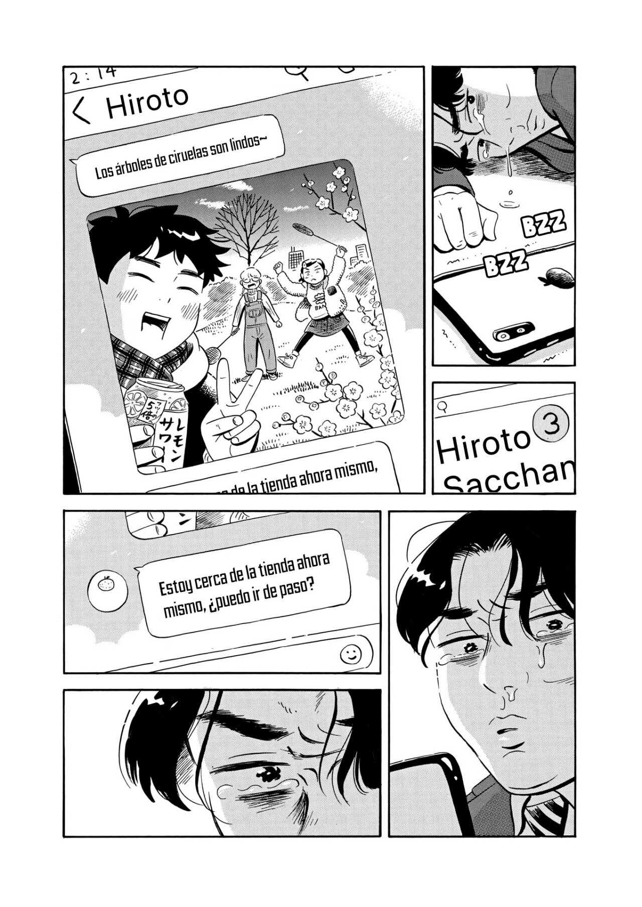 Read Hirayasumi (ES) Manga Online
