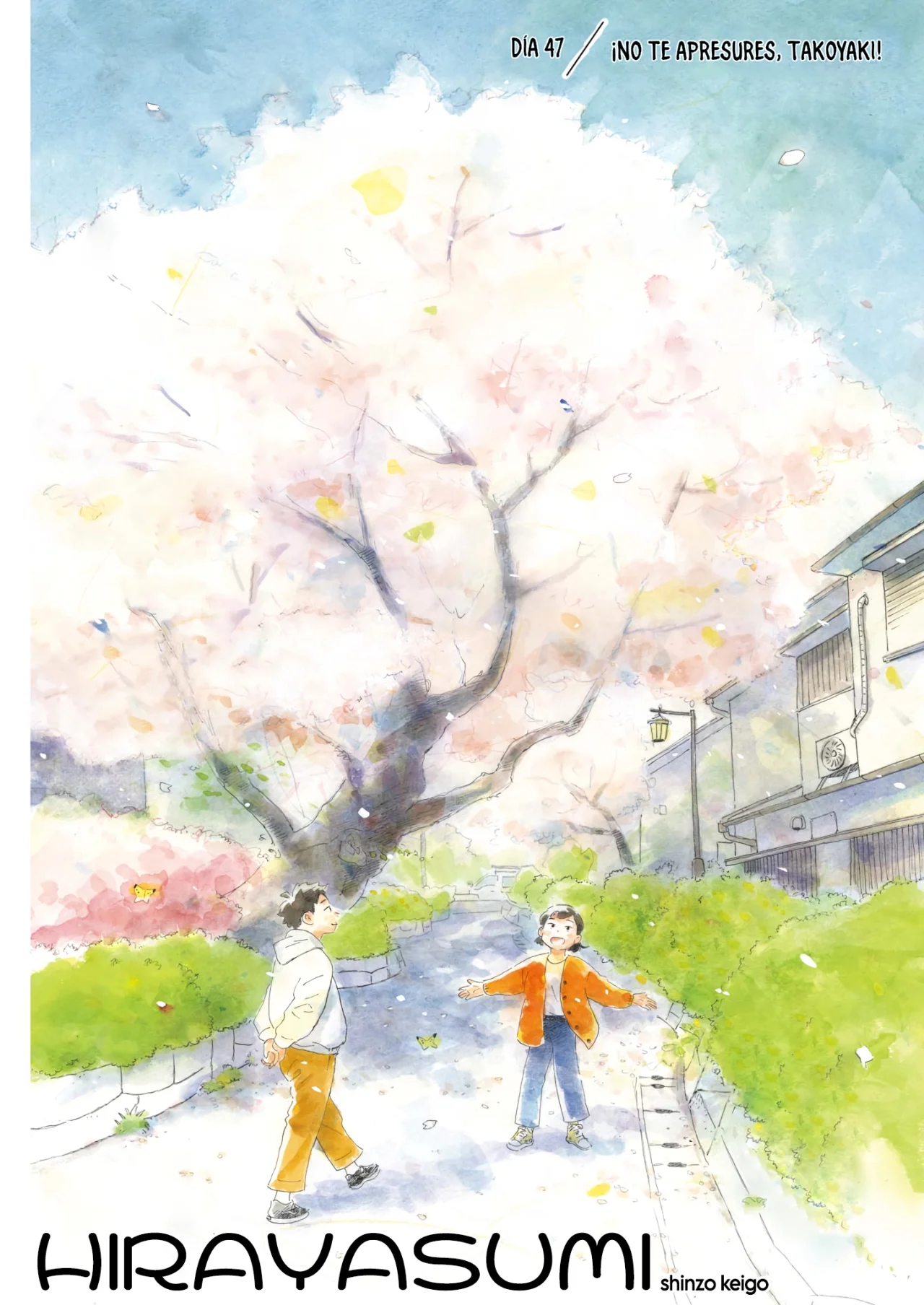 Read Hirayasumi (ES) Manga Online