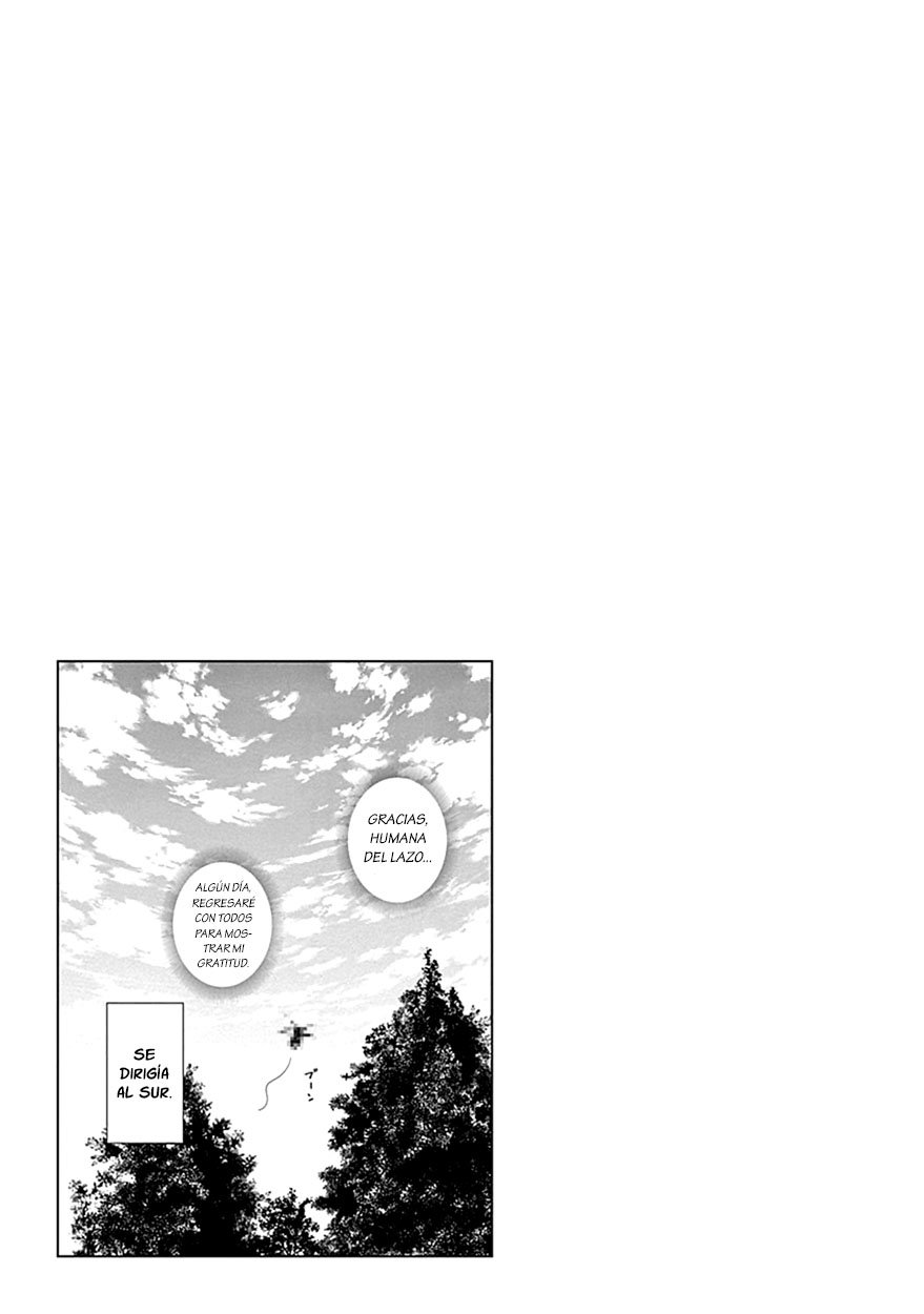 Read Kaguya sama Love is War (ES) Manga Online