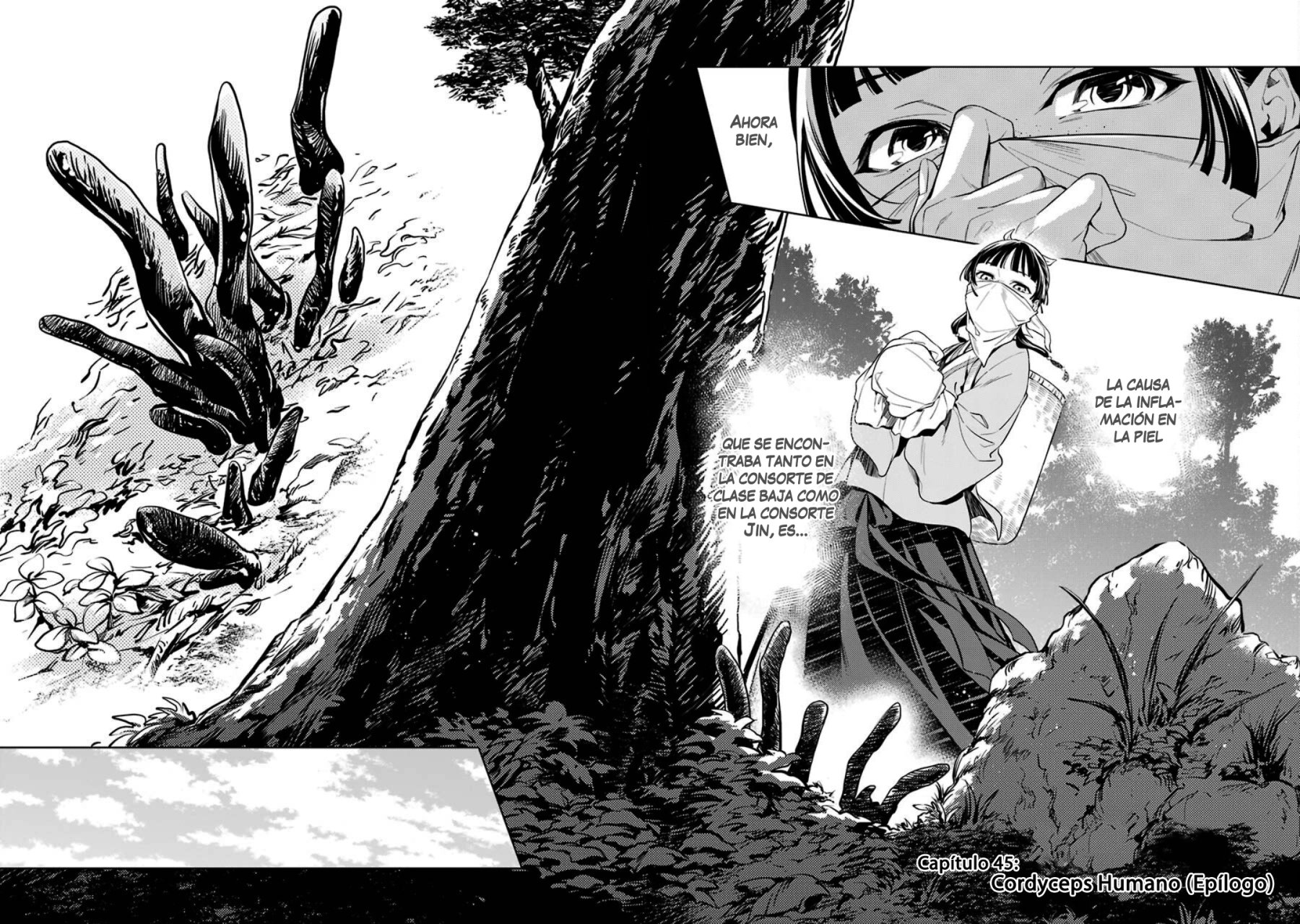 Read Kusuriya no Hitorigoto (ES) Manga Online