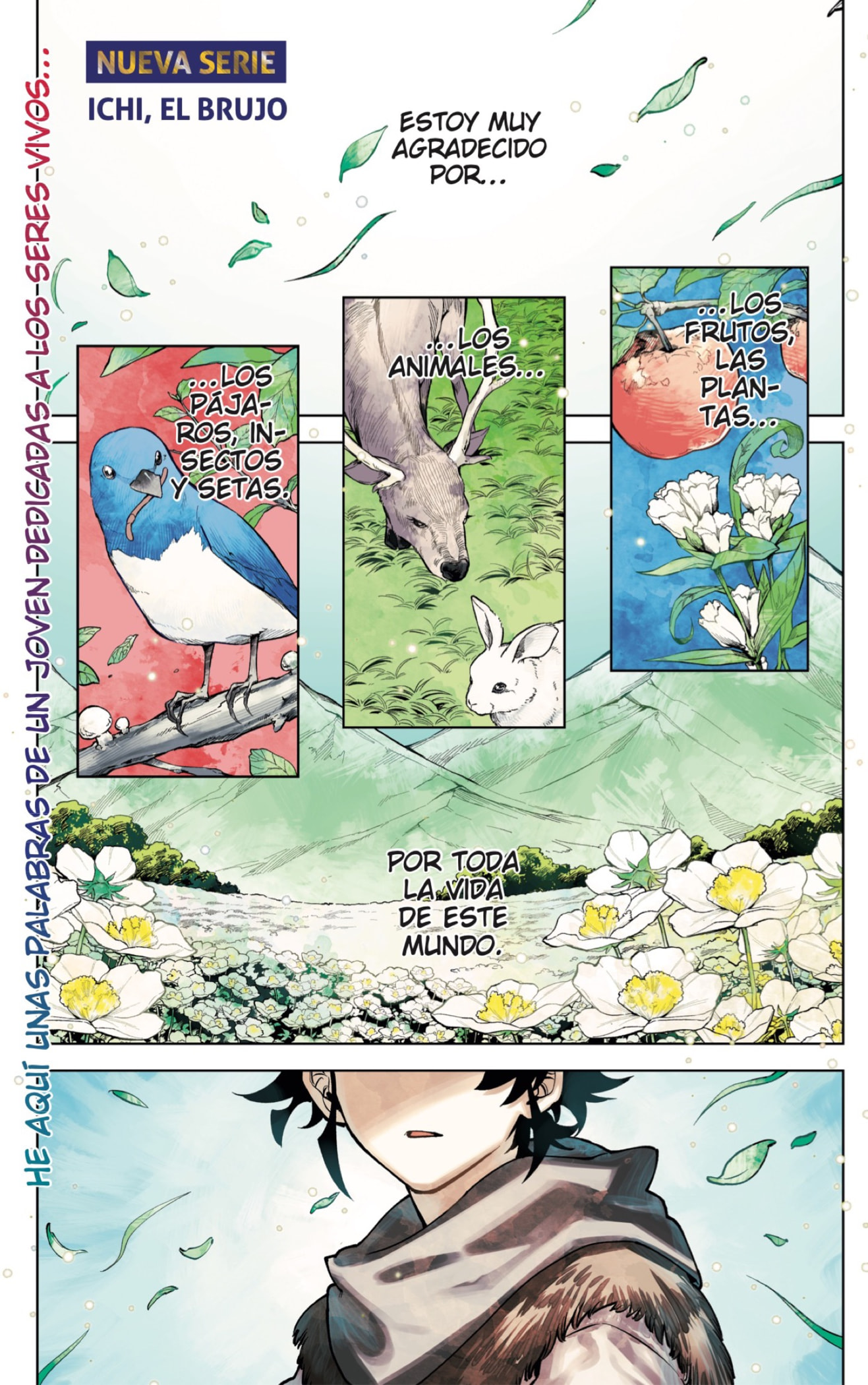 Read Madan no Ichi (ES) Manga Online