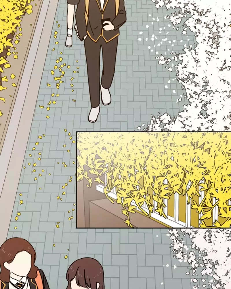 Read Seasons of Blossom (ES) Manga Online