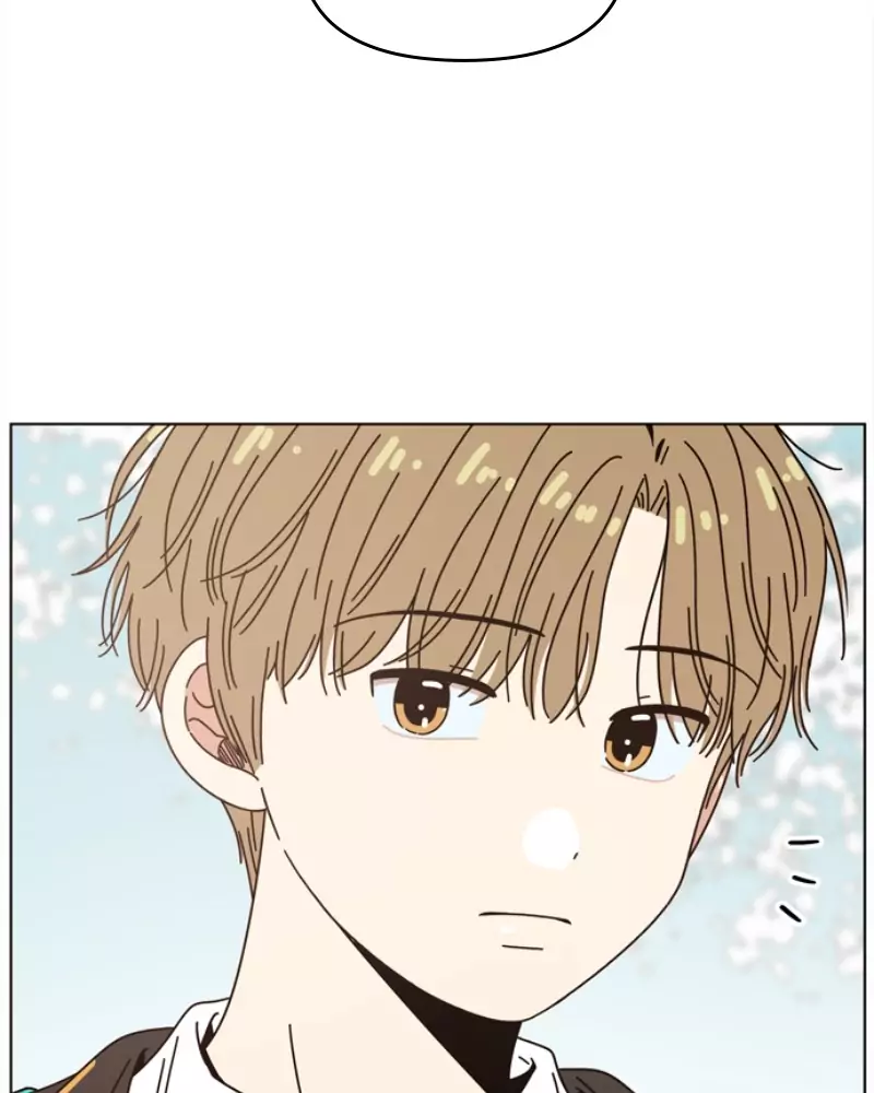 Read Seasons of Blossom (ES) Manga Online