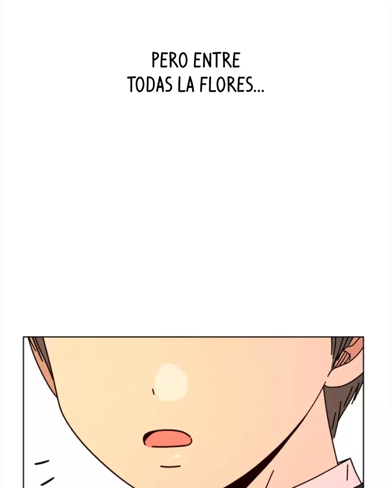 Read Seasons of Blossom (ES) Manga Online
