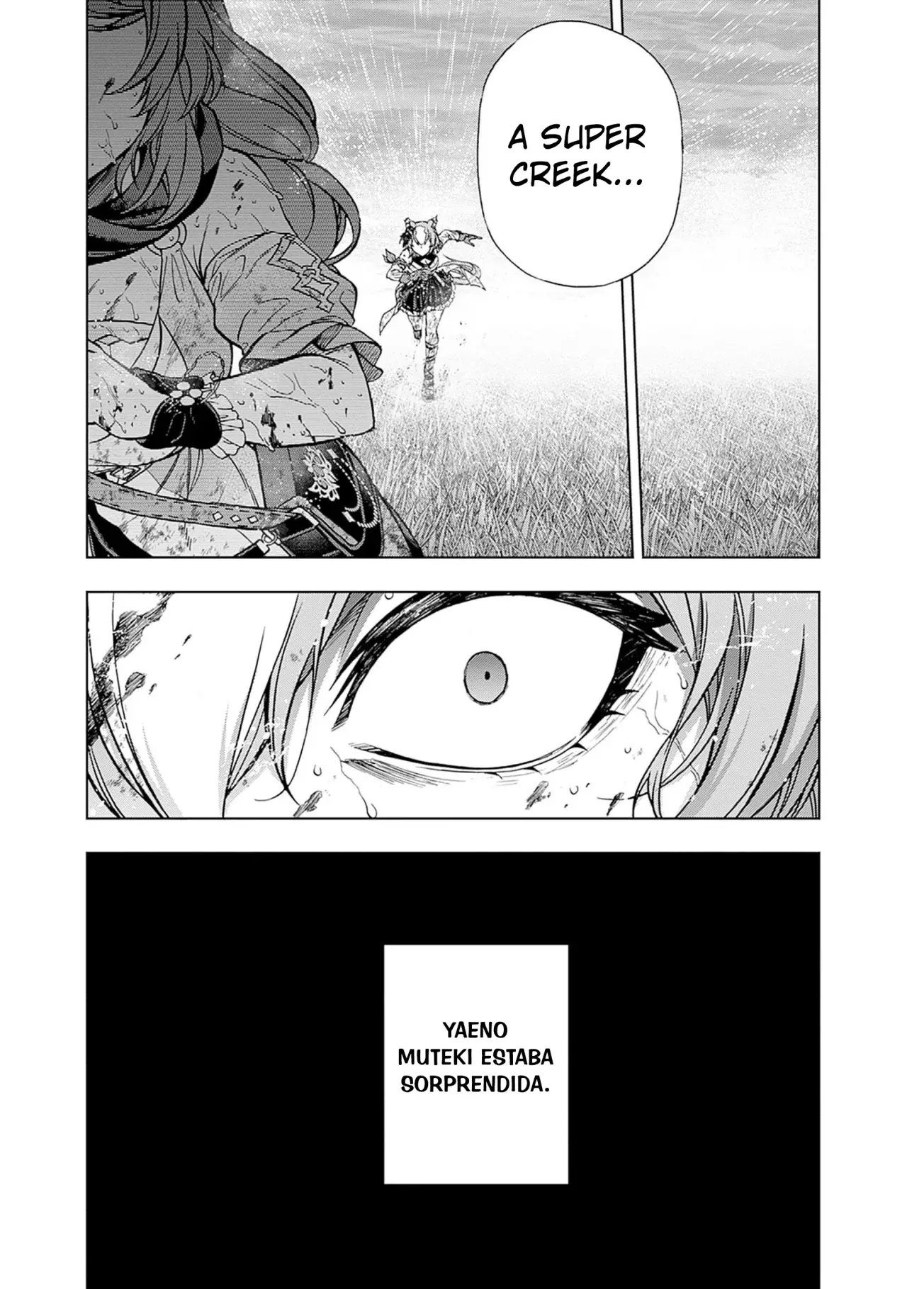 Read Uma Musume Cinderella Gray (ES) Manga Online