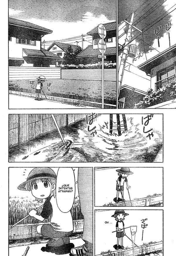 Read Yotsuba to! (ES) Manga Online