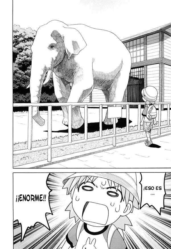Read Yotsuba to! (ES) Manga Online