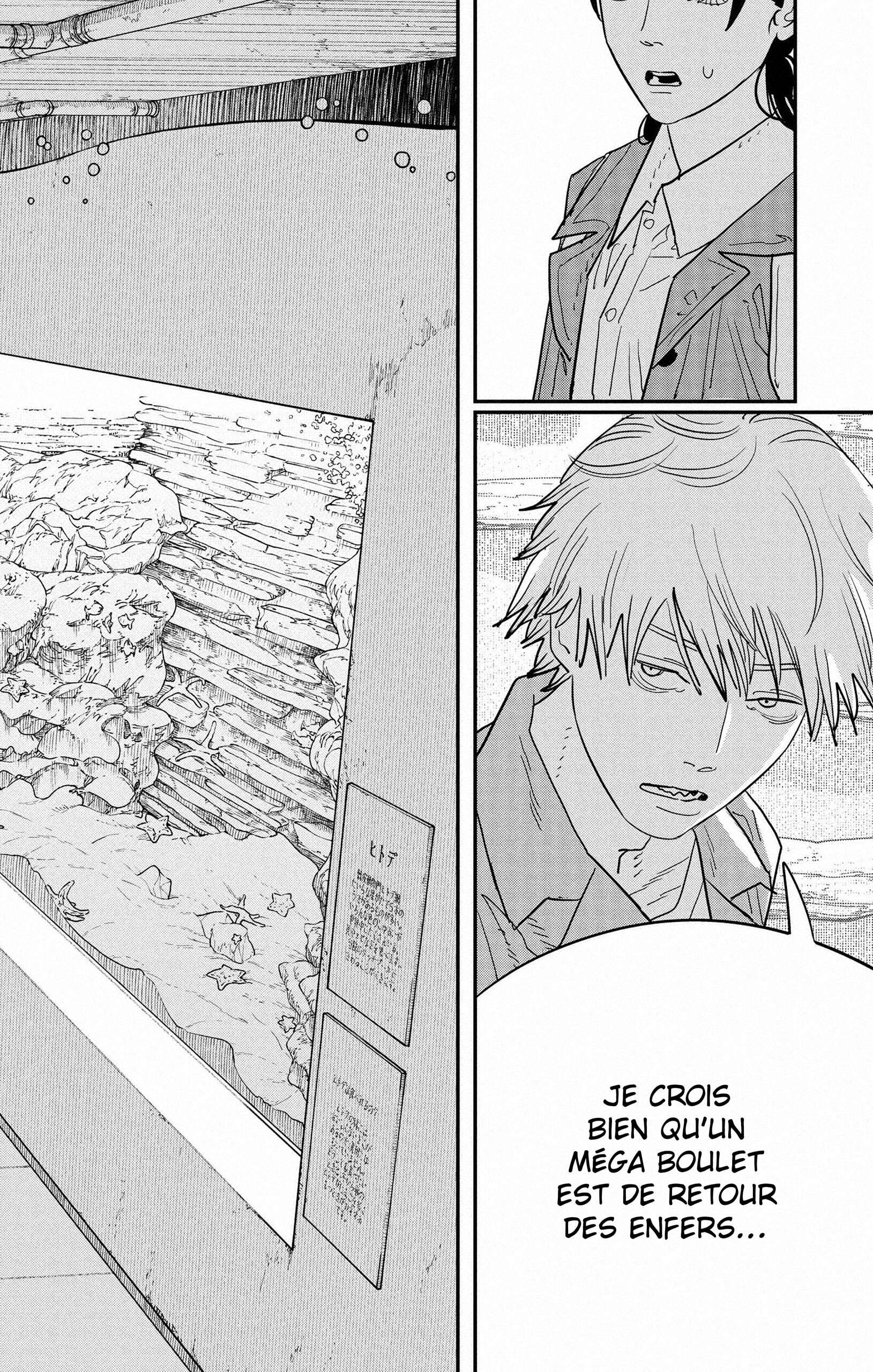 Read Chainsaw Man (FR) Manga Online