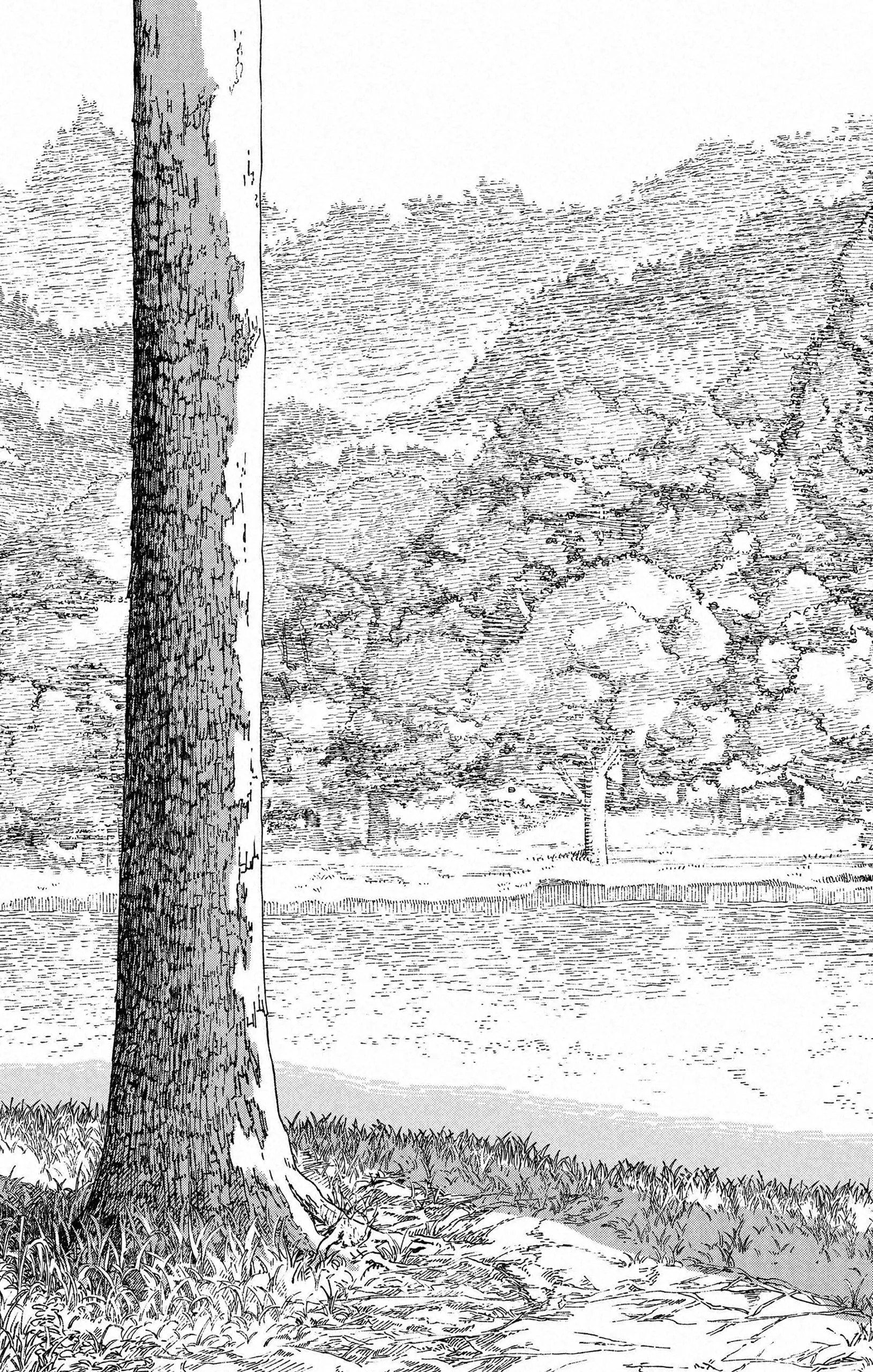 Read Chainsaw Man (FR) Manga Online