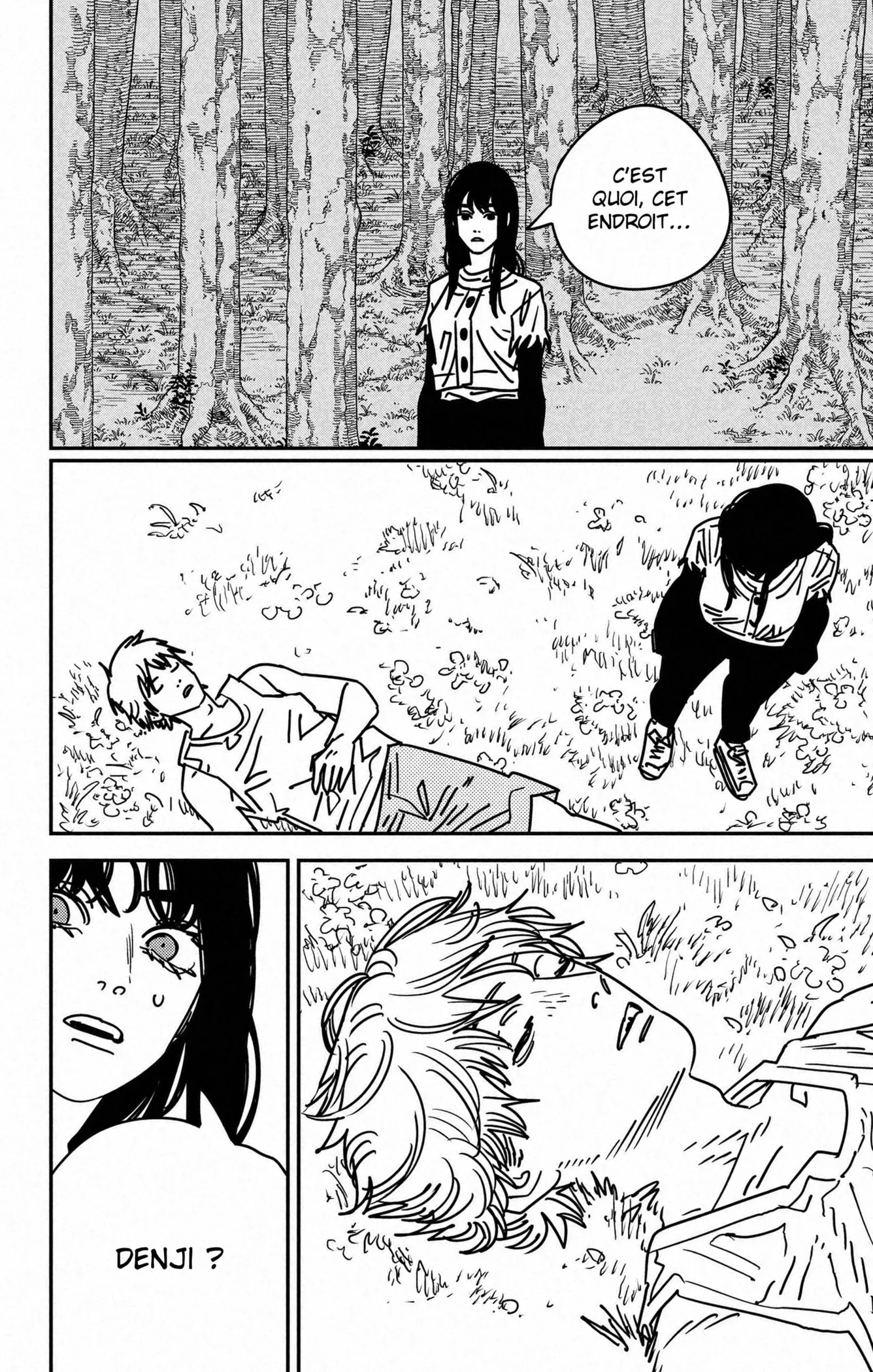 Read Chainsaw Man (FR) Manga Online