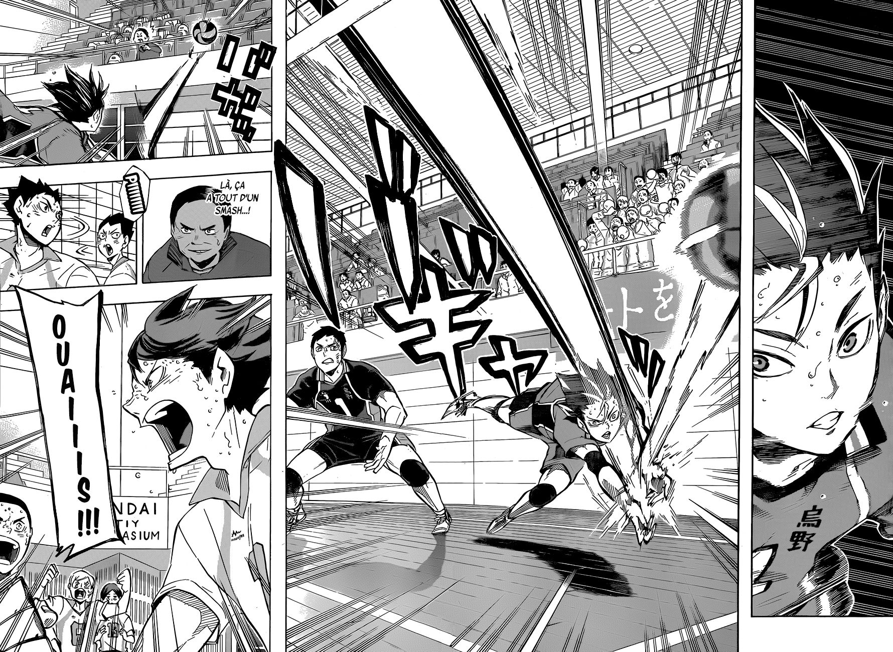 Read Haikyuu (FR) Manga Online