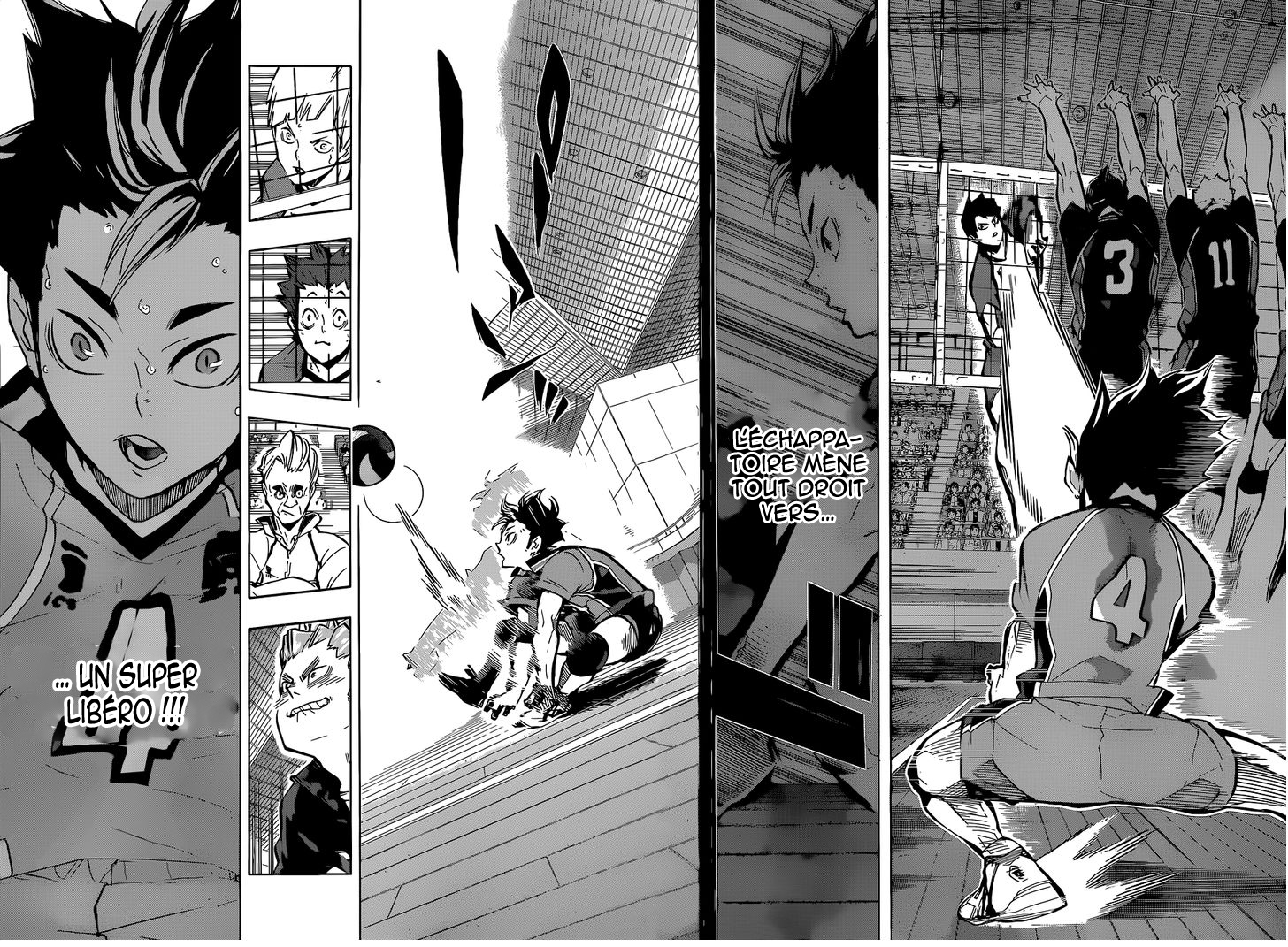Read Haikyuu (FR) Manga Online