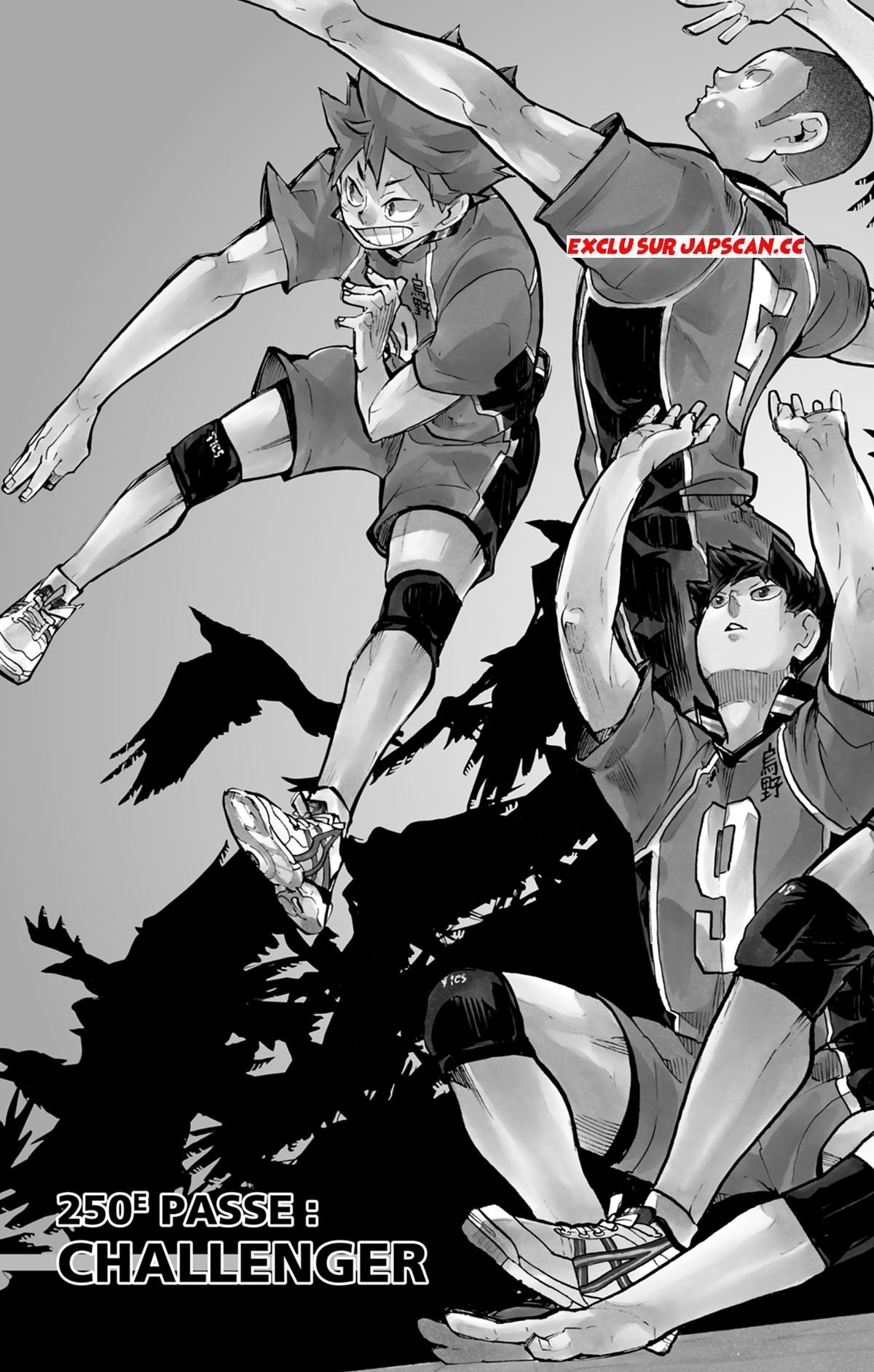 Read Haikyuu (FR) Manga Online