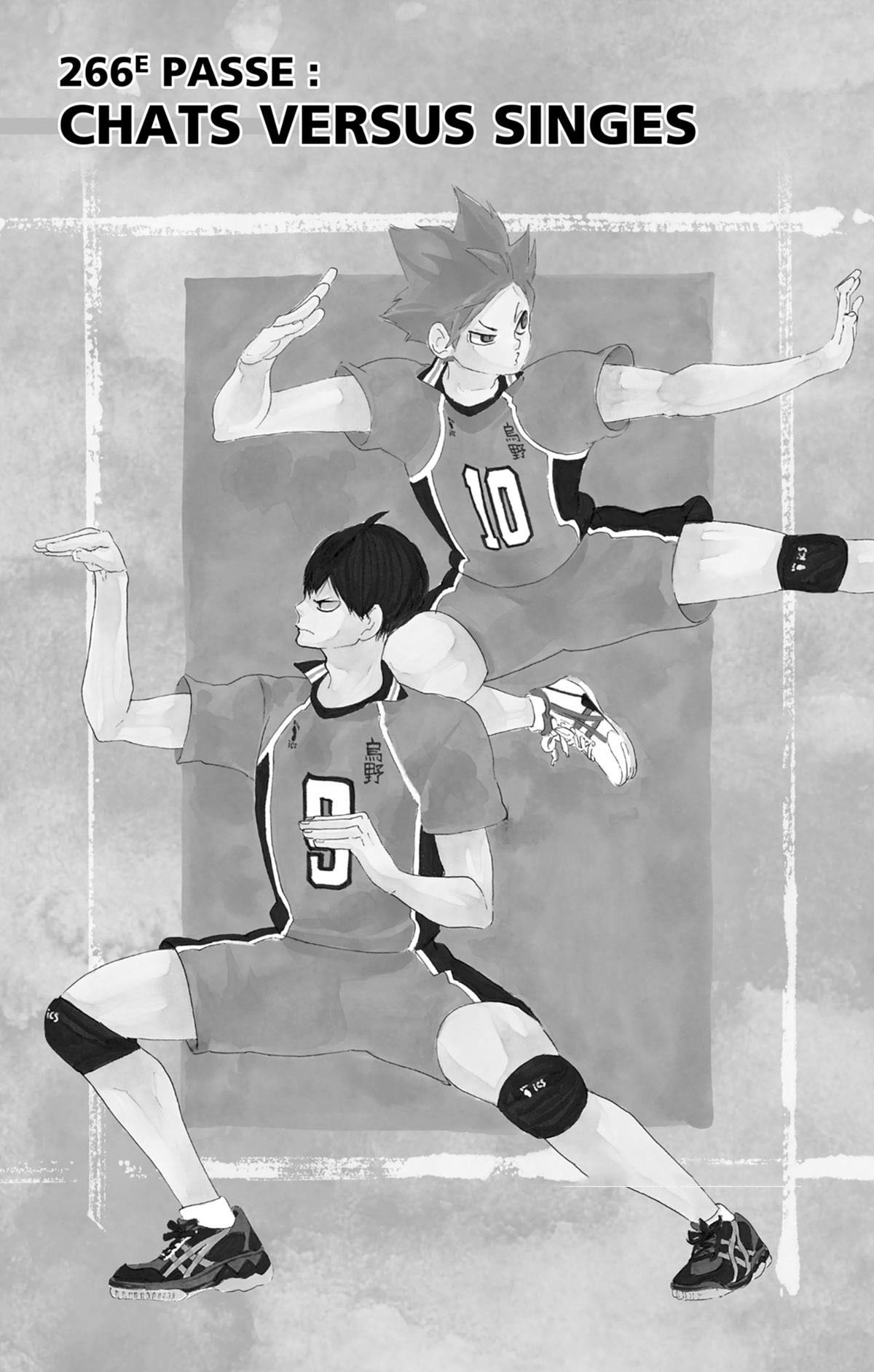 Read Haikyuu (FR) Manga Online