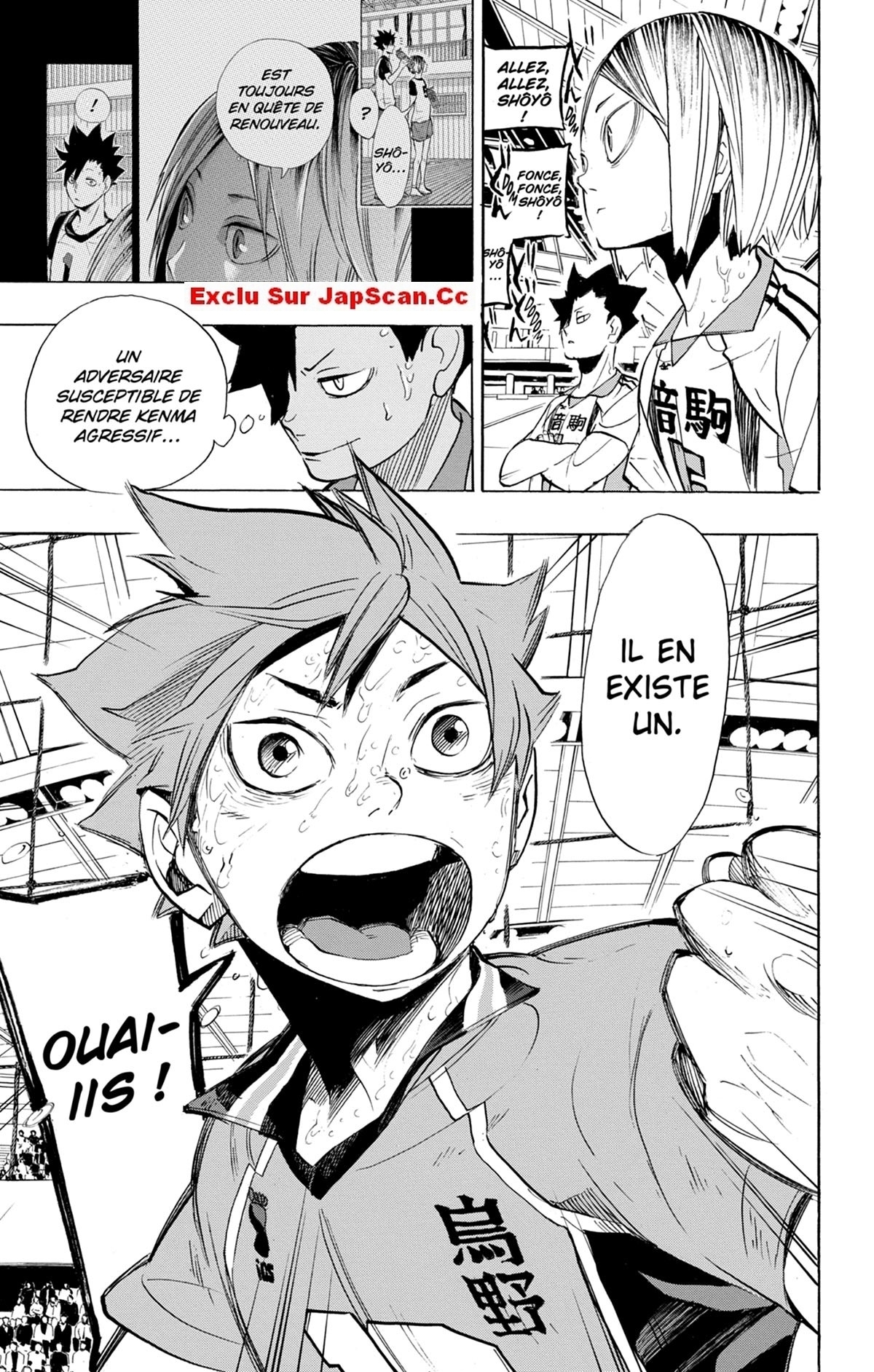 Read Haikyuu (FR) Manga Online