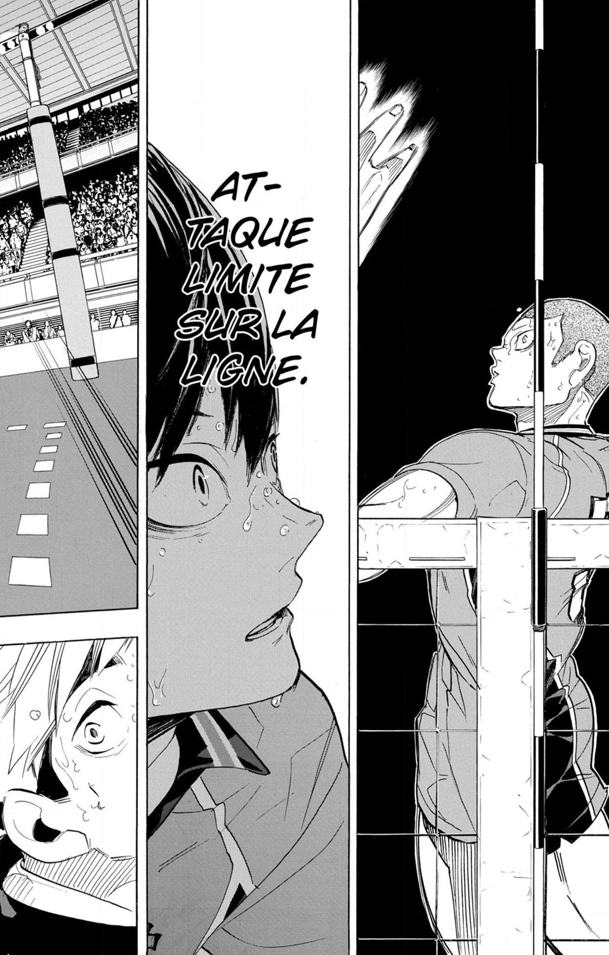 Read Haikyuu (FR) Manga Online
