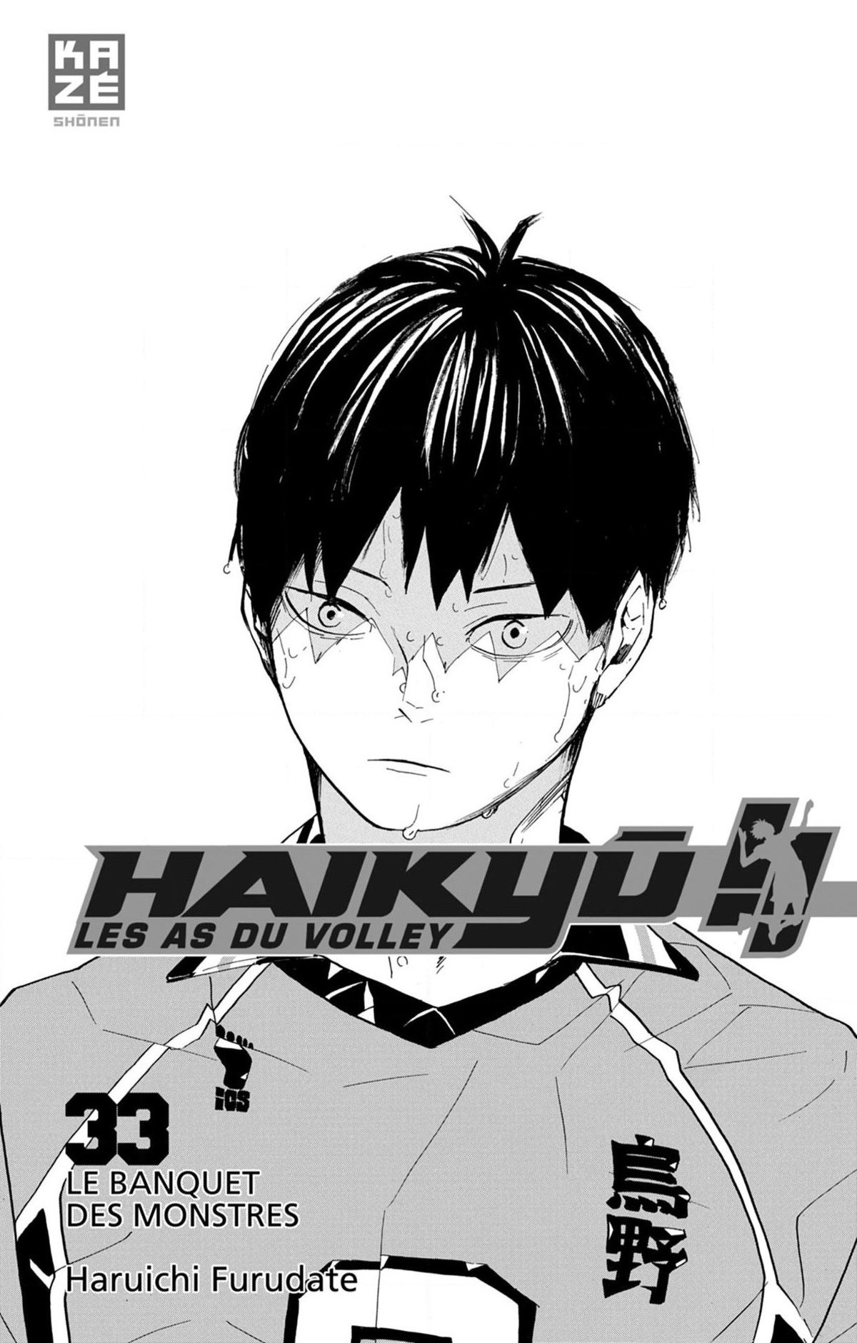 Read Haikyuu (FR) Manga Online