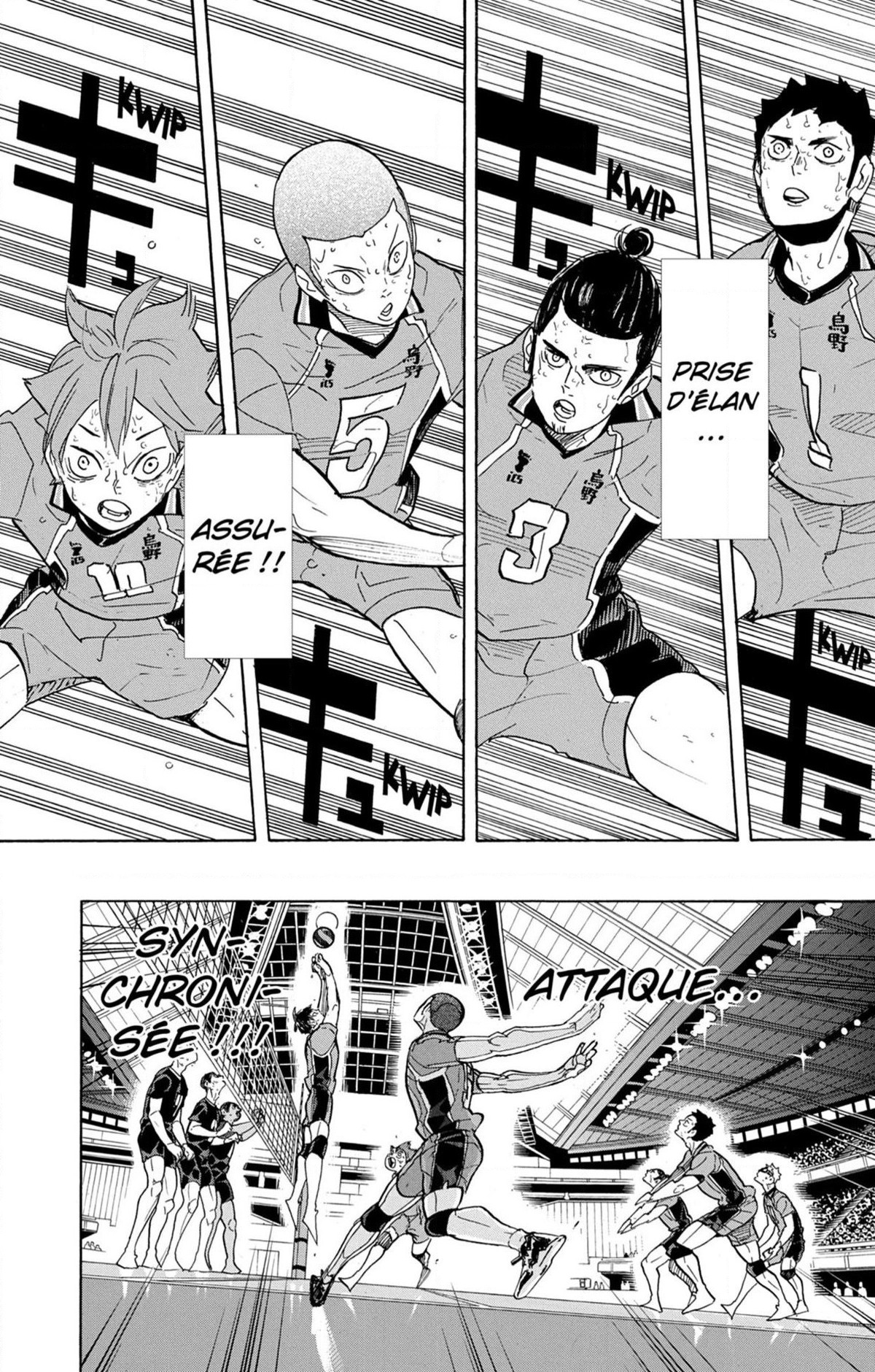 Read Haikyuu (FR) Manga Online