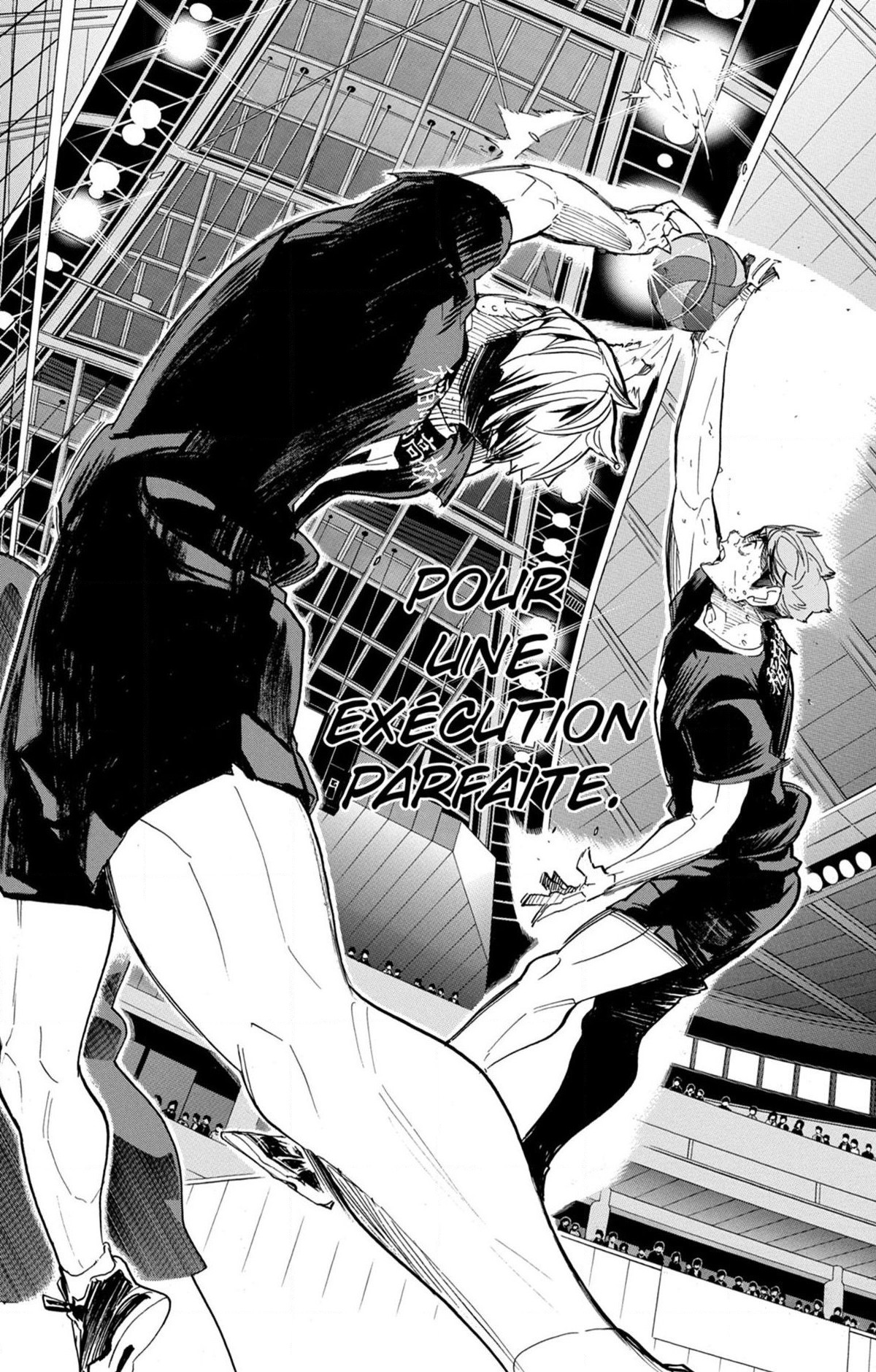 Read Haikyuu (FR) Manga Online