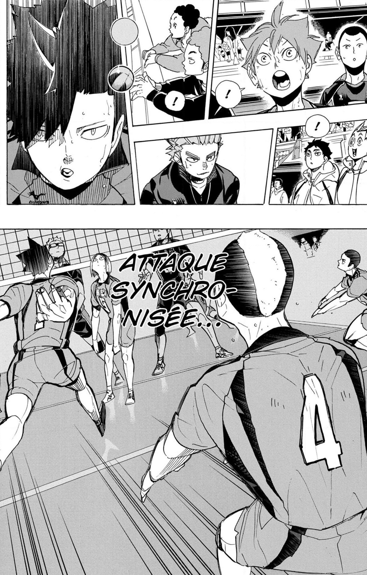 Read Haikyuu (FR) Manga Online