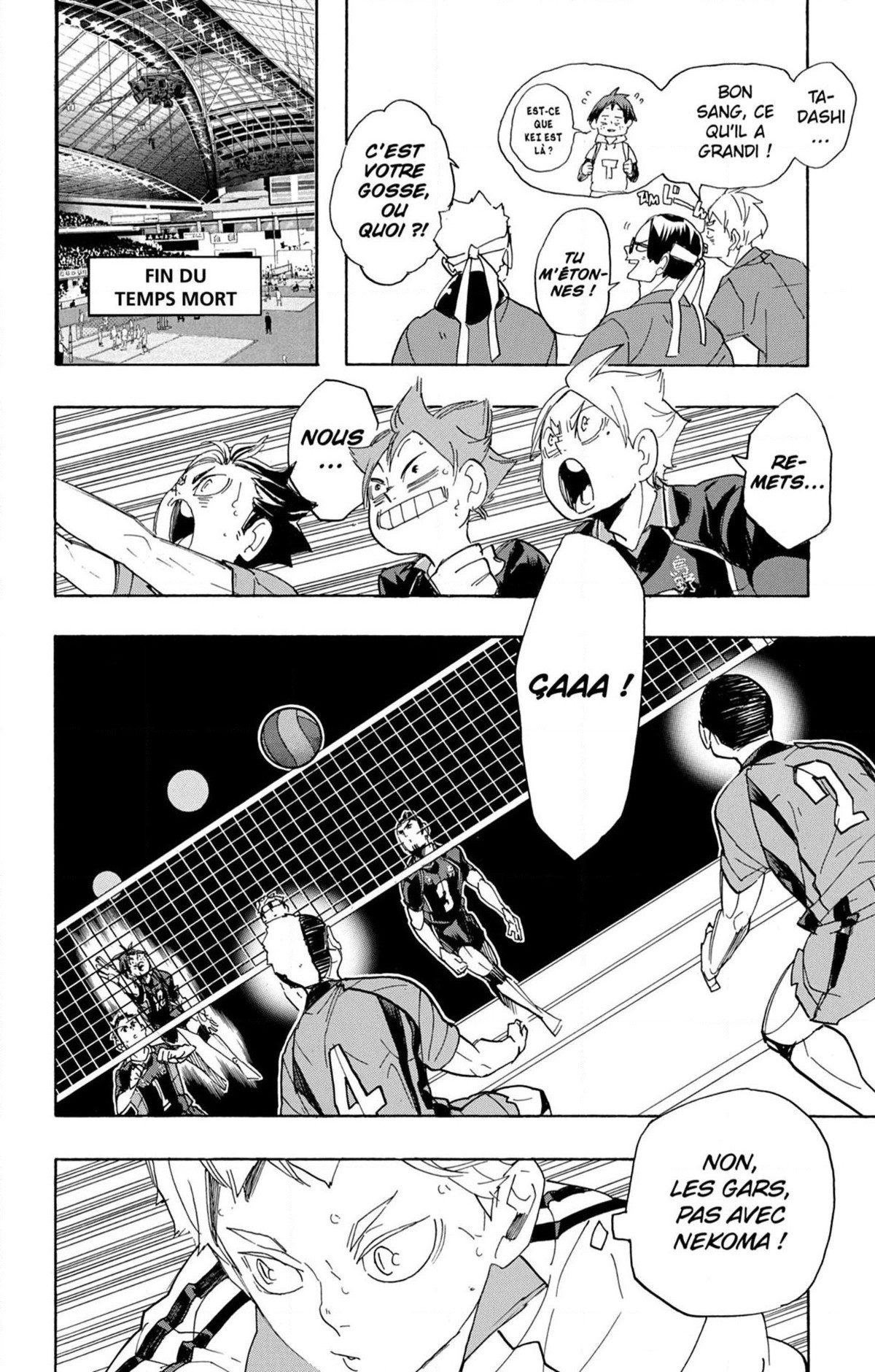 Read Haikyuu (FR) Manga Online