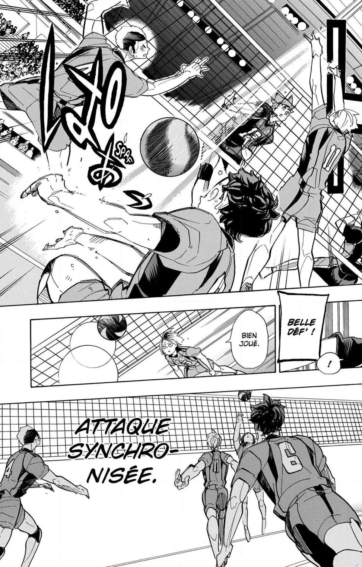 Read Haikyuu (FR) Manga Online