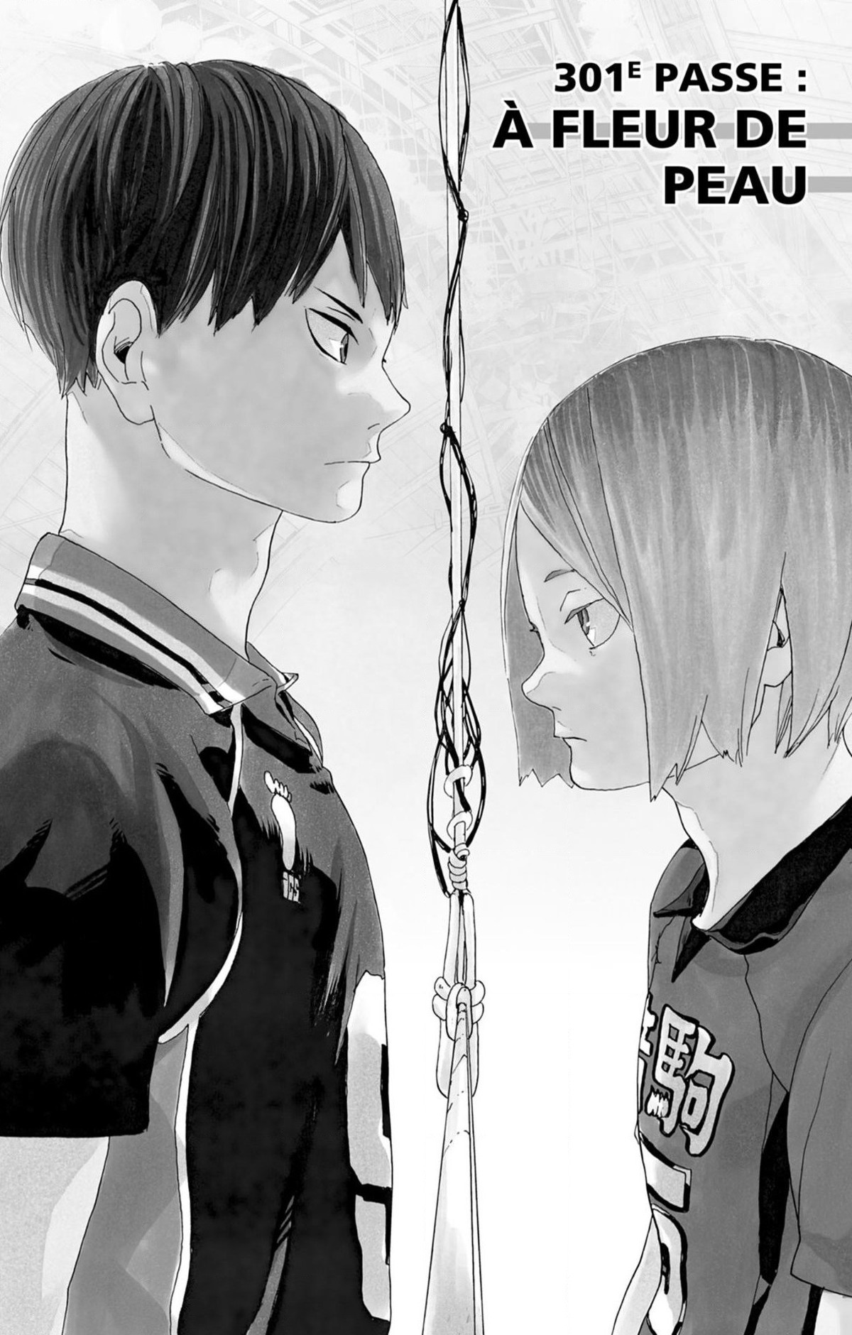 Read Haikyuu (FR) Manga Online