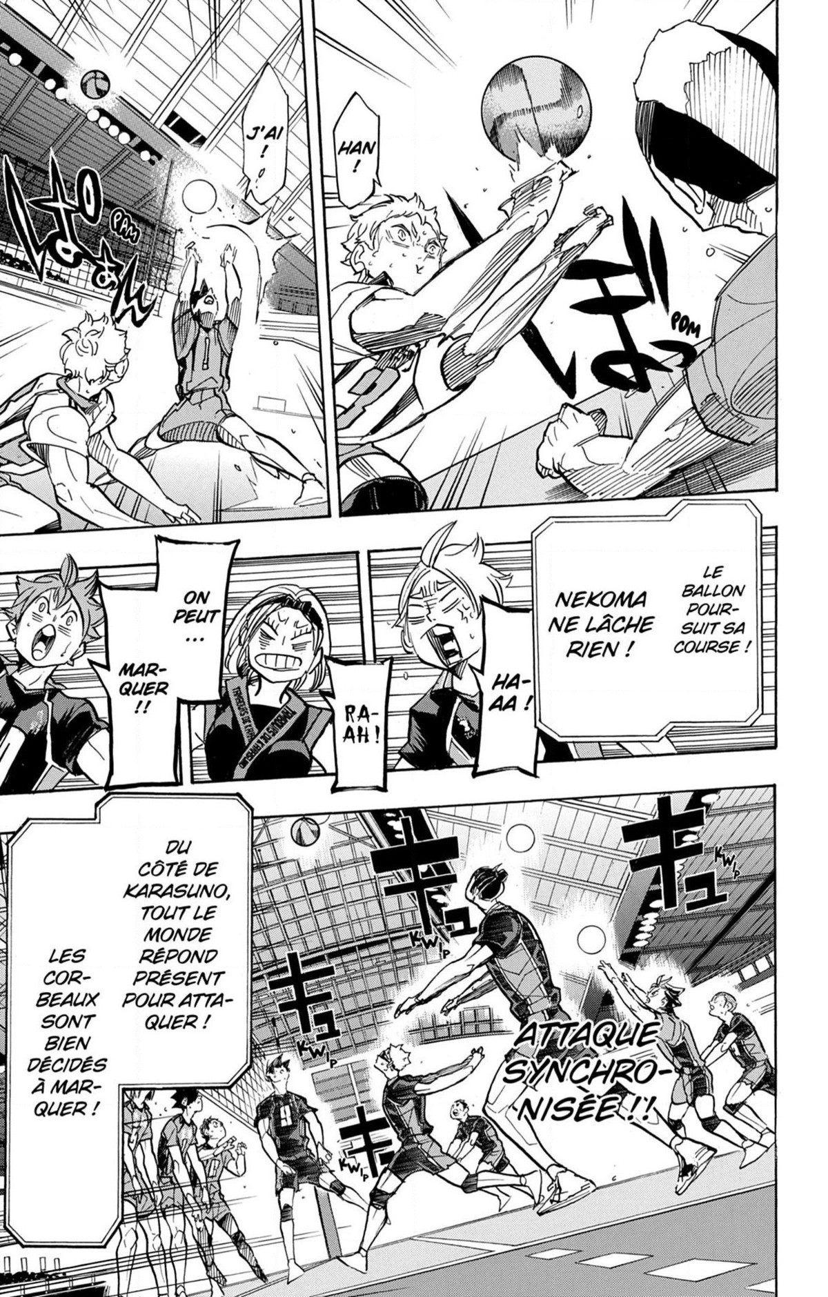 Read Haikyuu (FR) Manga Online