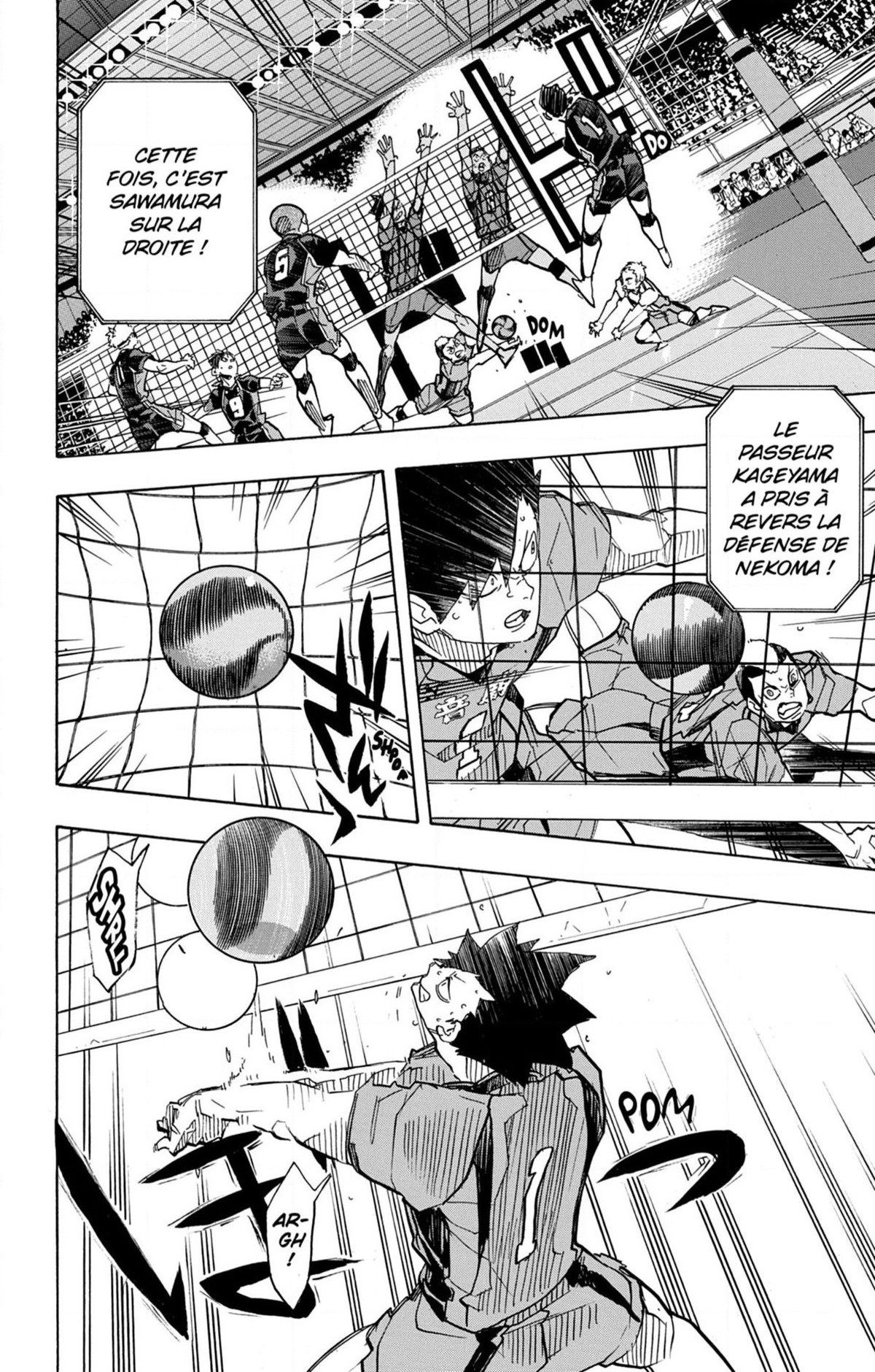 Read Haikyuu (FR) Manga Online