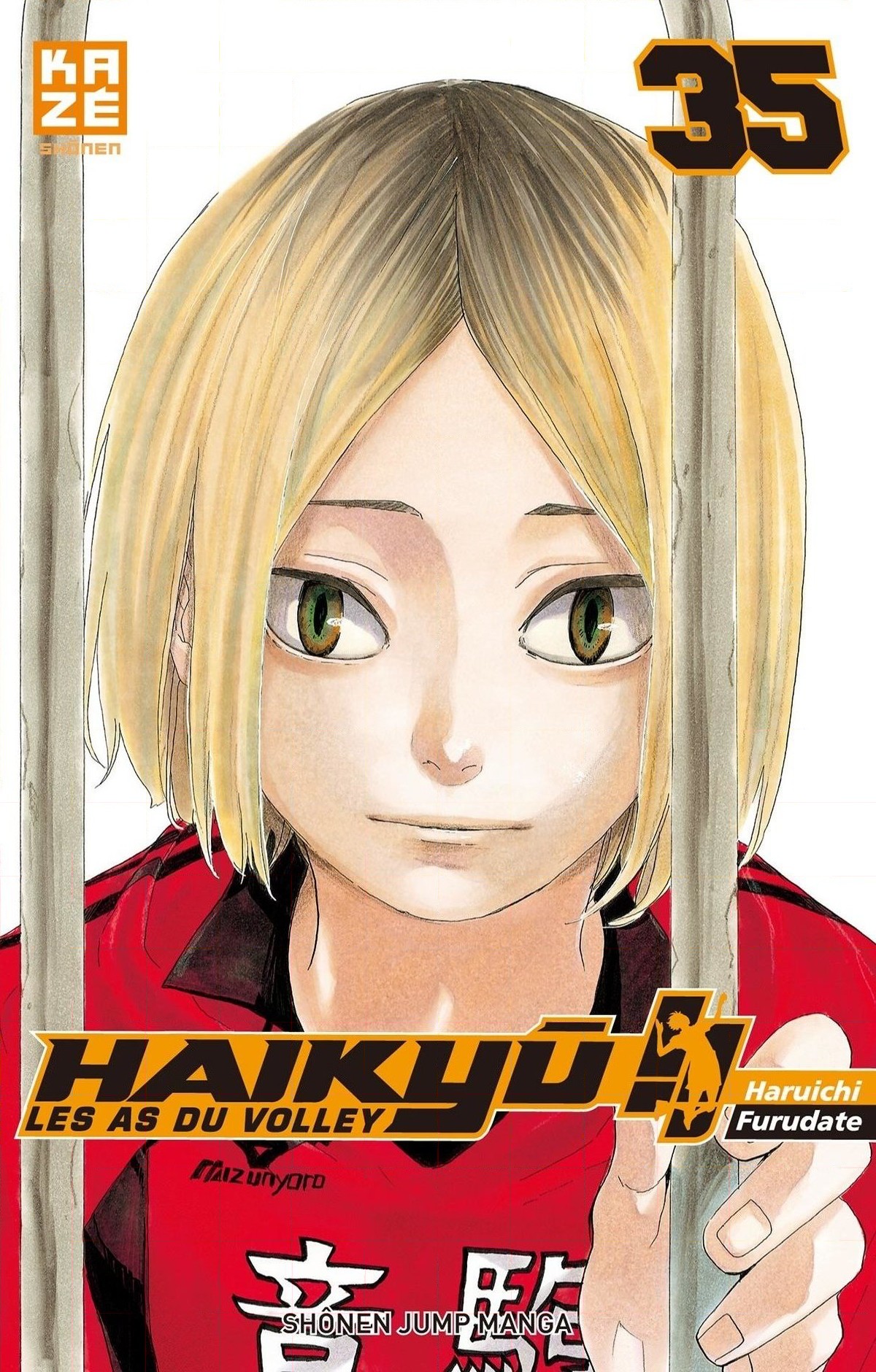 Read Haikyuu (FR) Manga Online