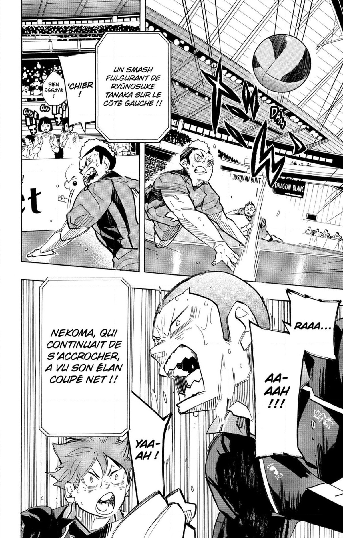 Read Haikyuu (FR) Manga Online