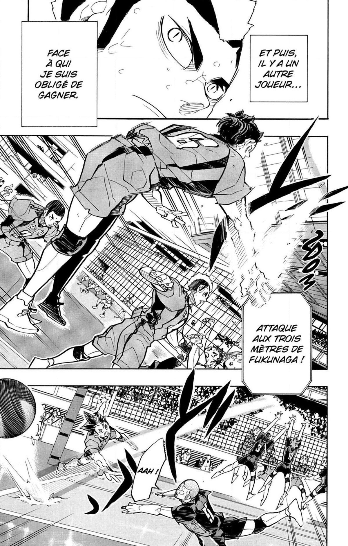 Read Haikyuu (FR) Manga Online