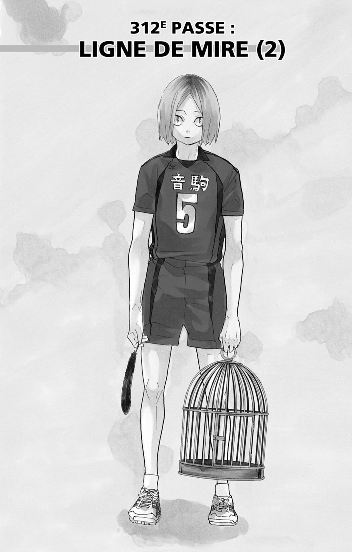 Read Haikyuu (FR) Manga Online