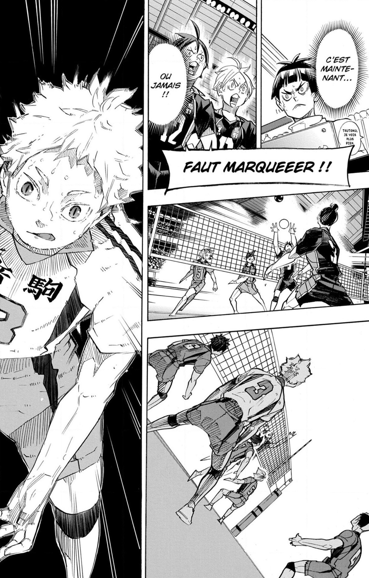 Read Haikyuu (FR) Manga Online