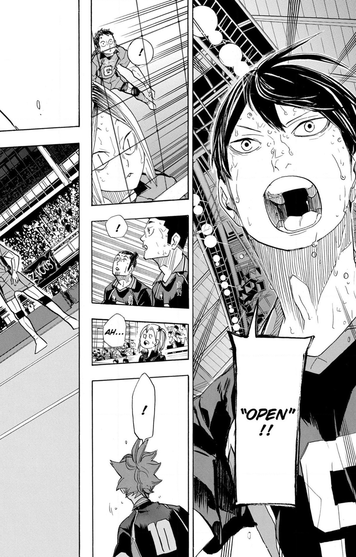Read Haikyuu (FR) Manga Online