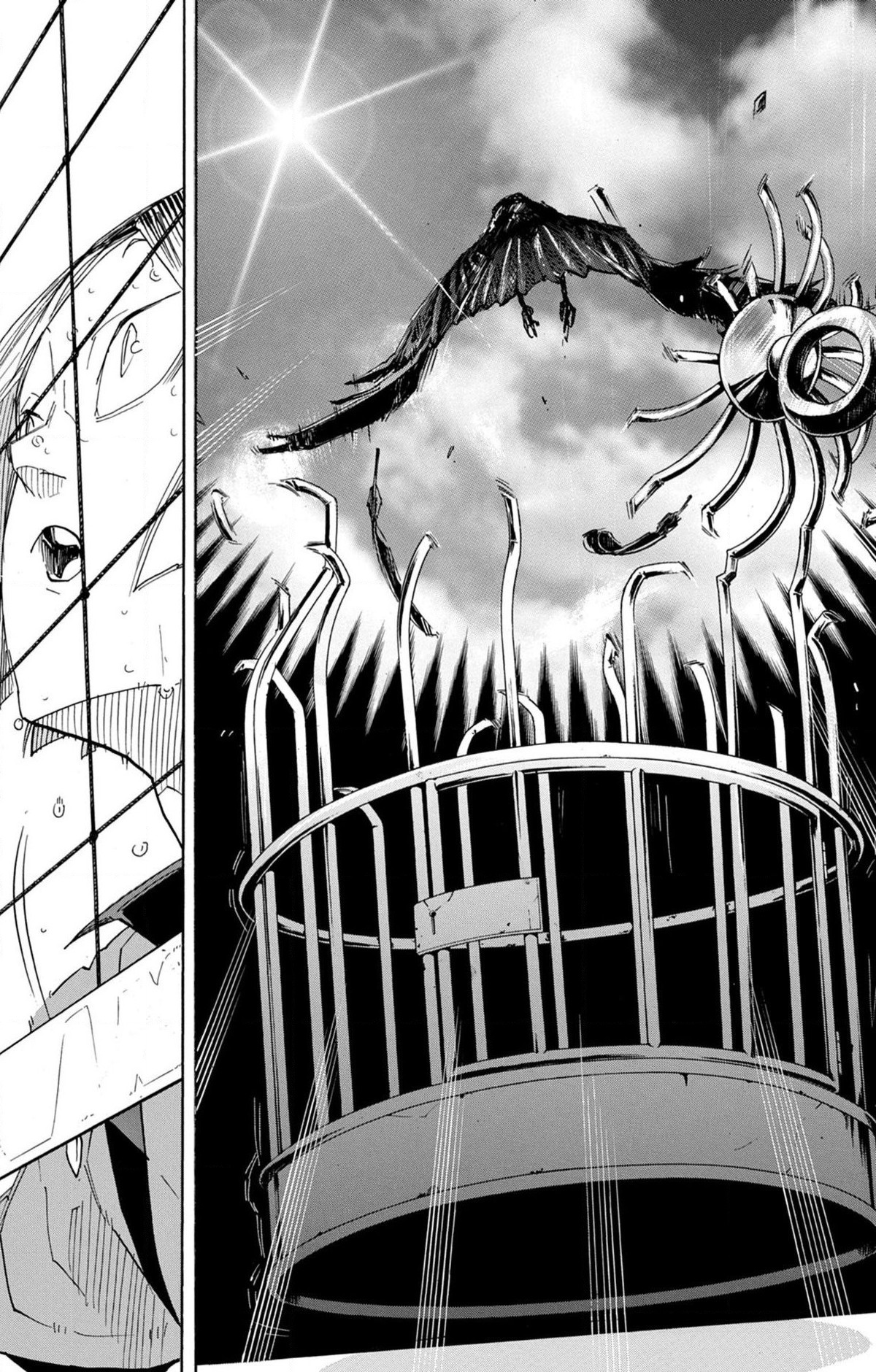 Read Haikyuu (FR) Manga Online