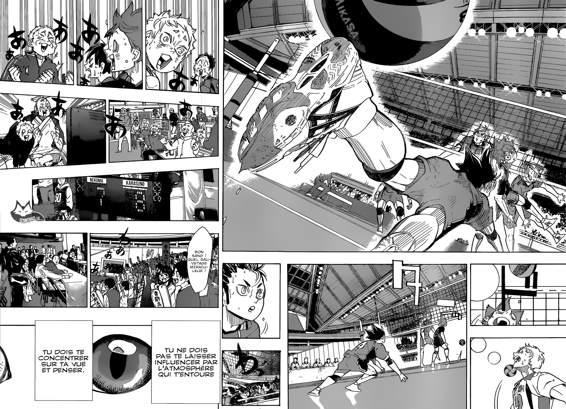 Read Haikyuu (FR) Manga Online