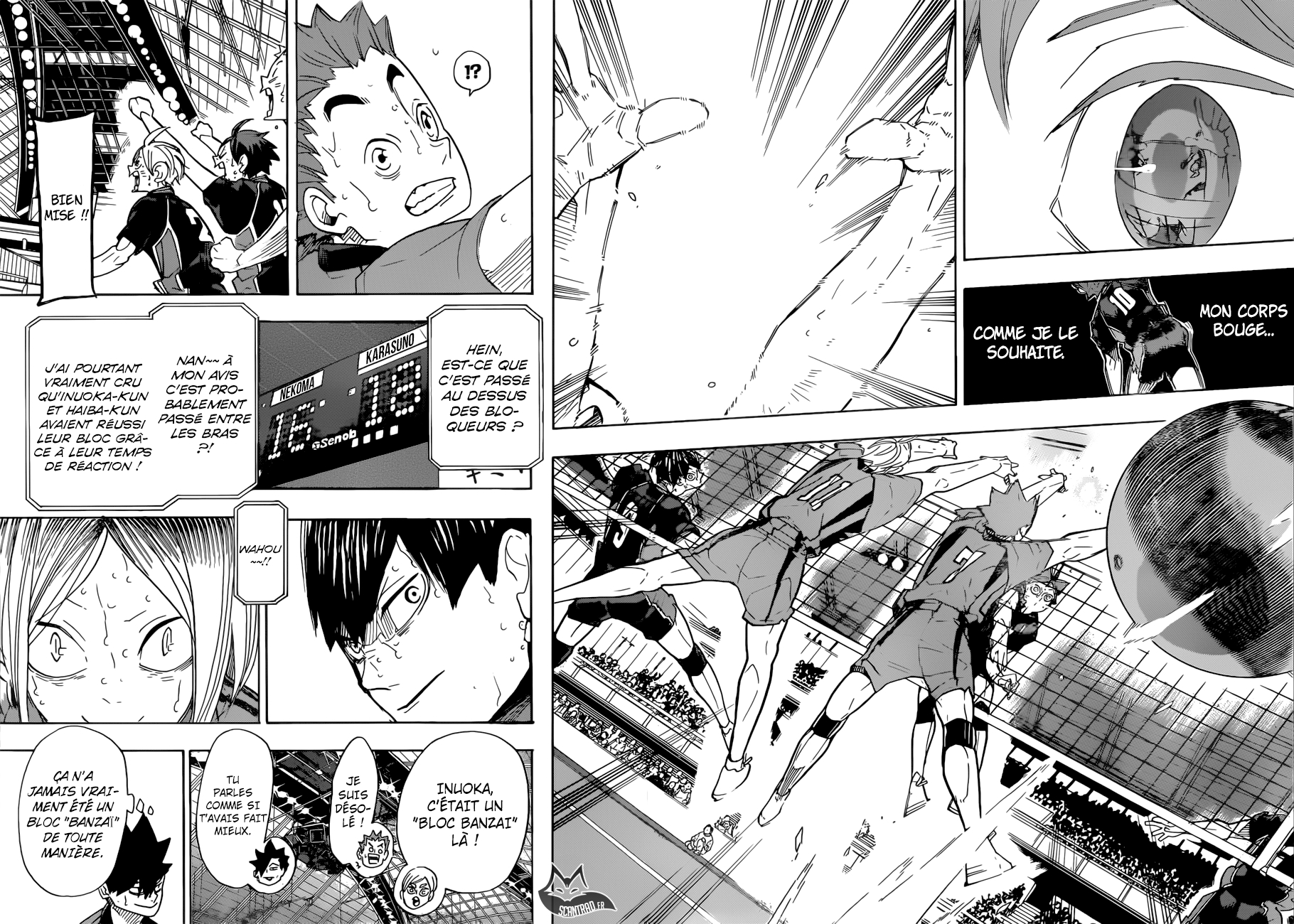 Read Haikyuu (FR) Manga Online