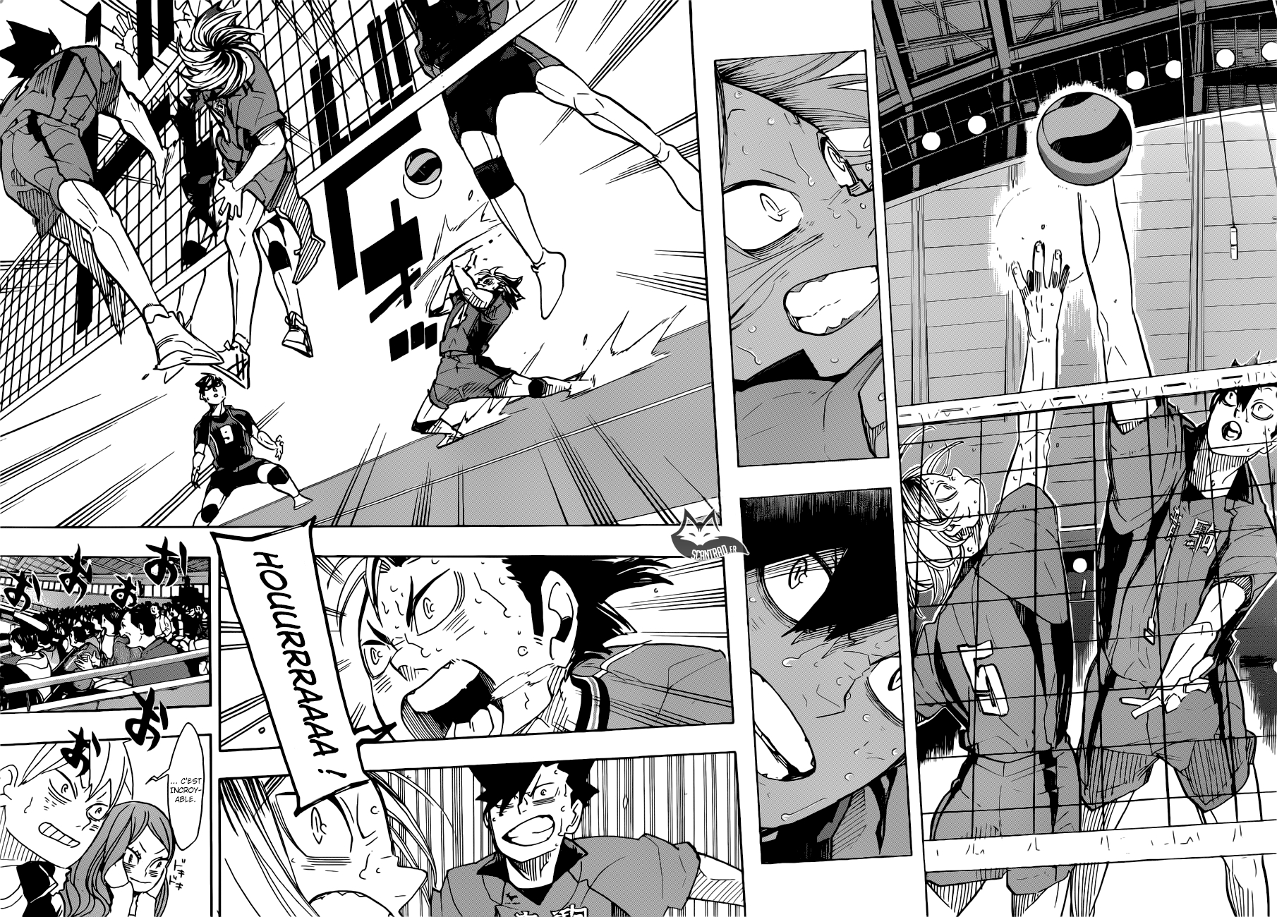 Read Haikyuu (FR) Manga Online