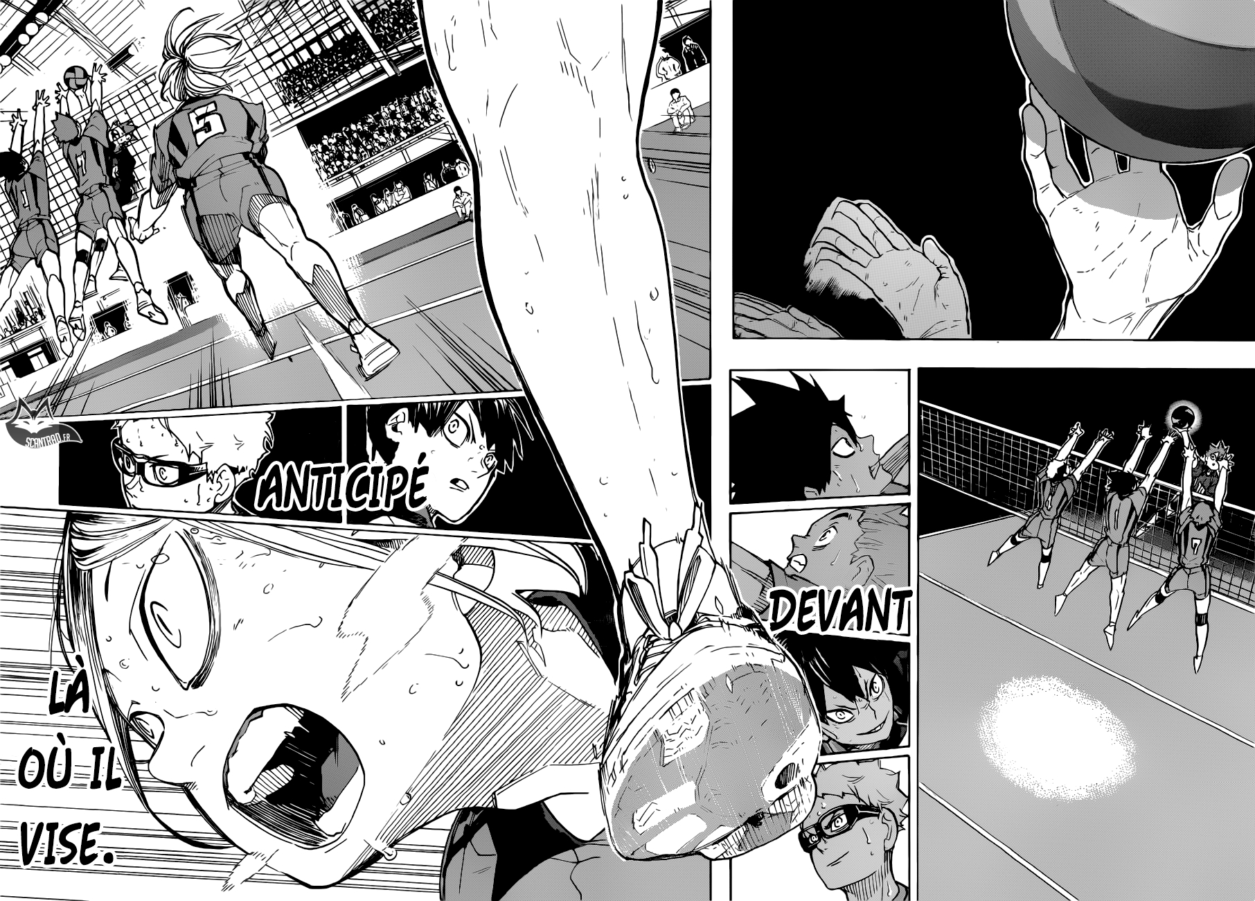 Read Haikyuu (FR) Manga Online