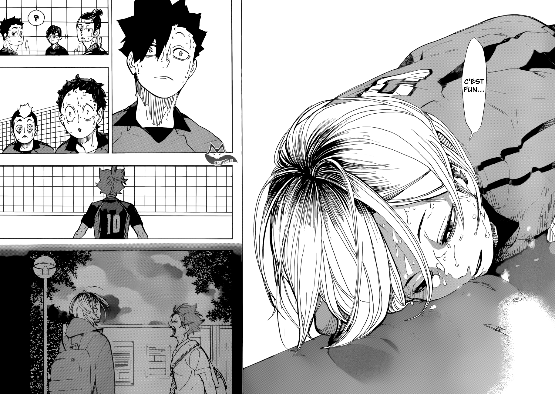Read Haikyuu (FR) Manga Online